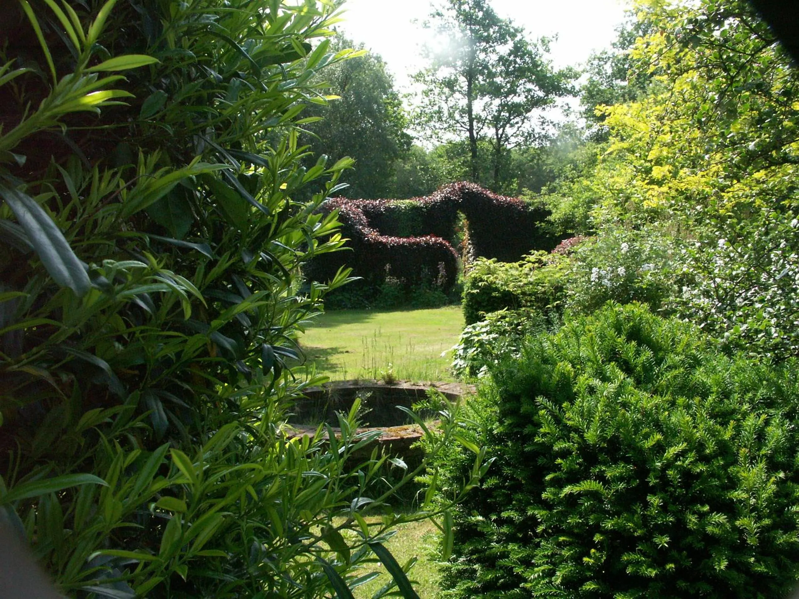 Garden in Selatuinen