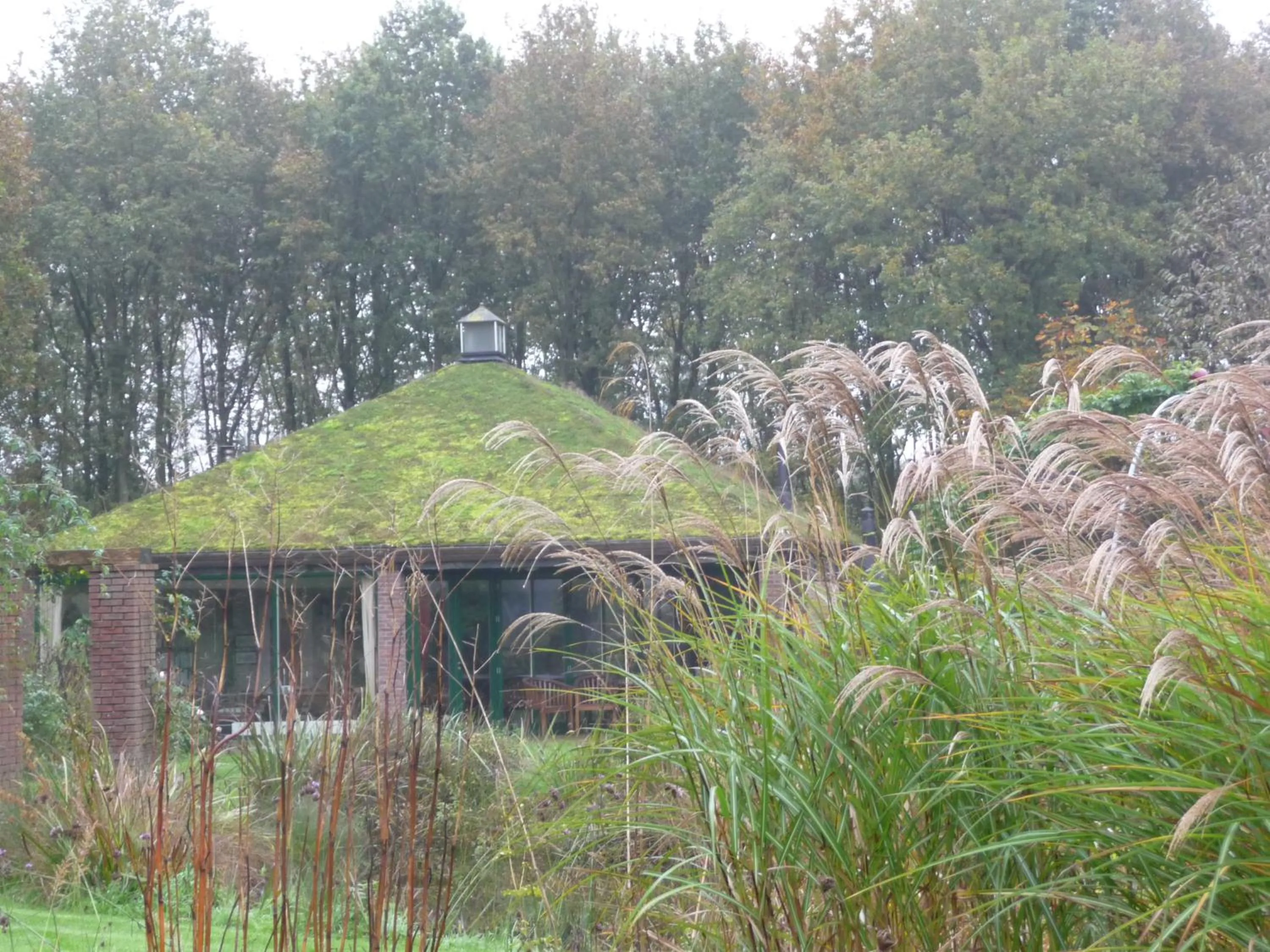 Garden in Selatuinen