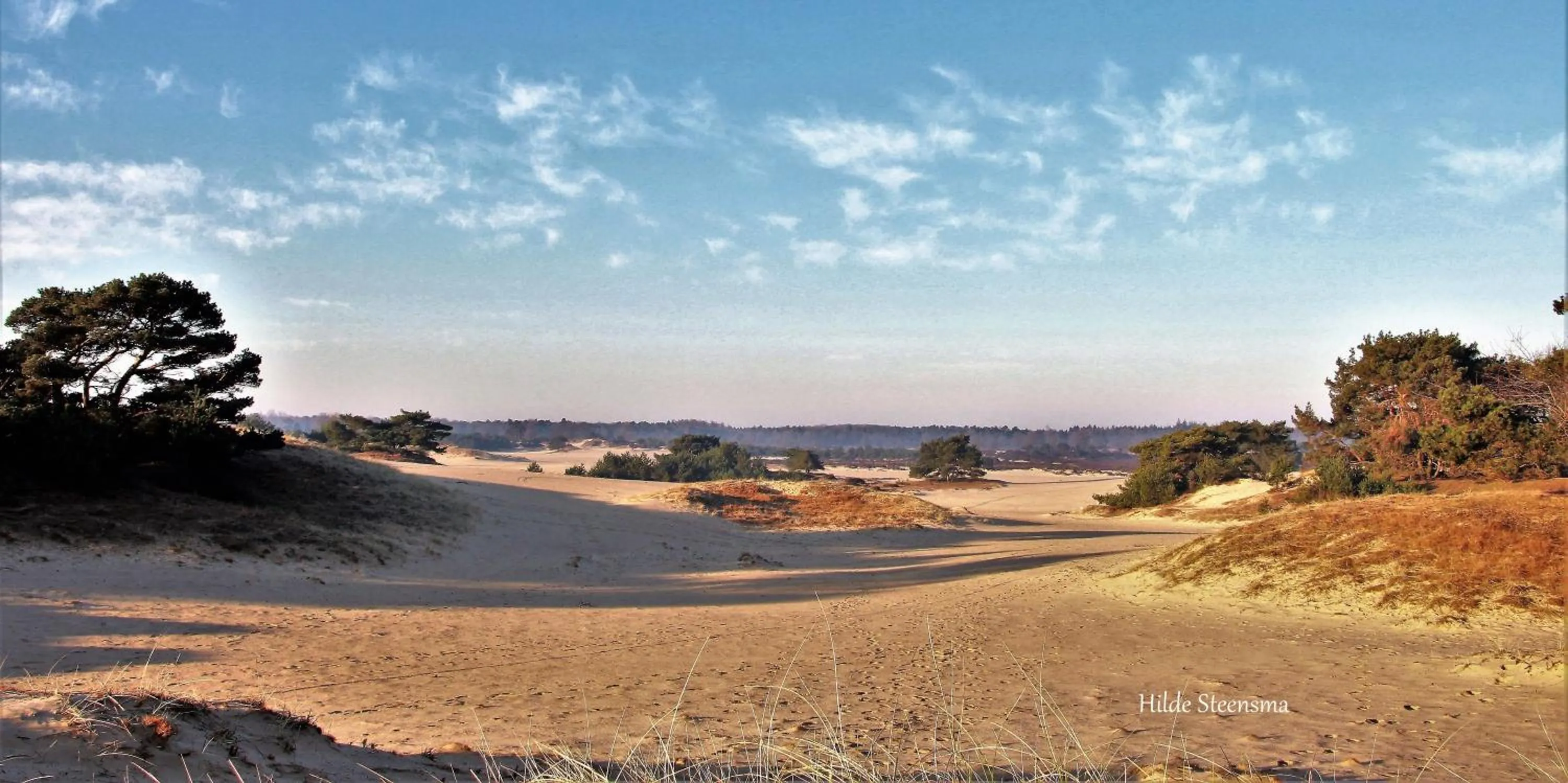 Natural landscape in Selatuinen
