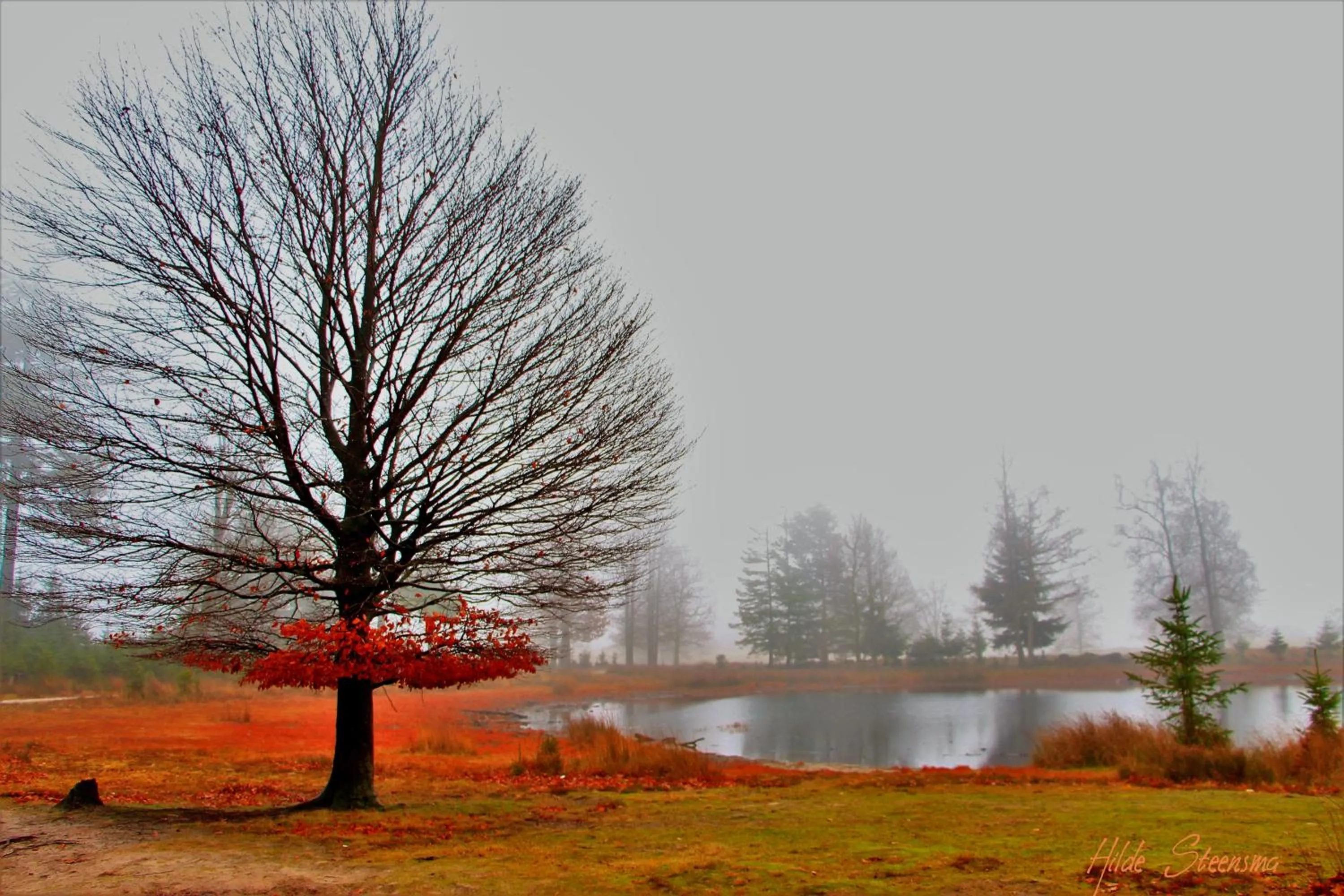 Natural landscape in Selatuinen