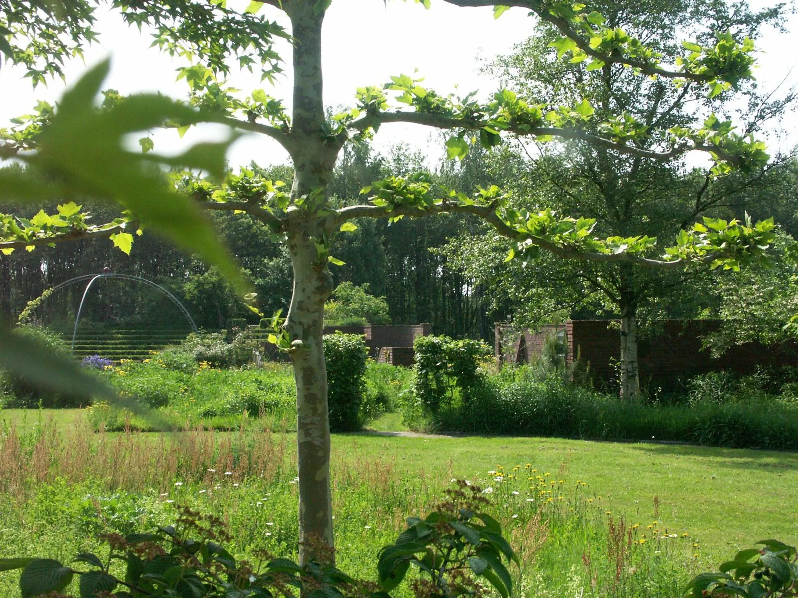 Garden in Selatuinen