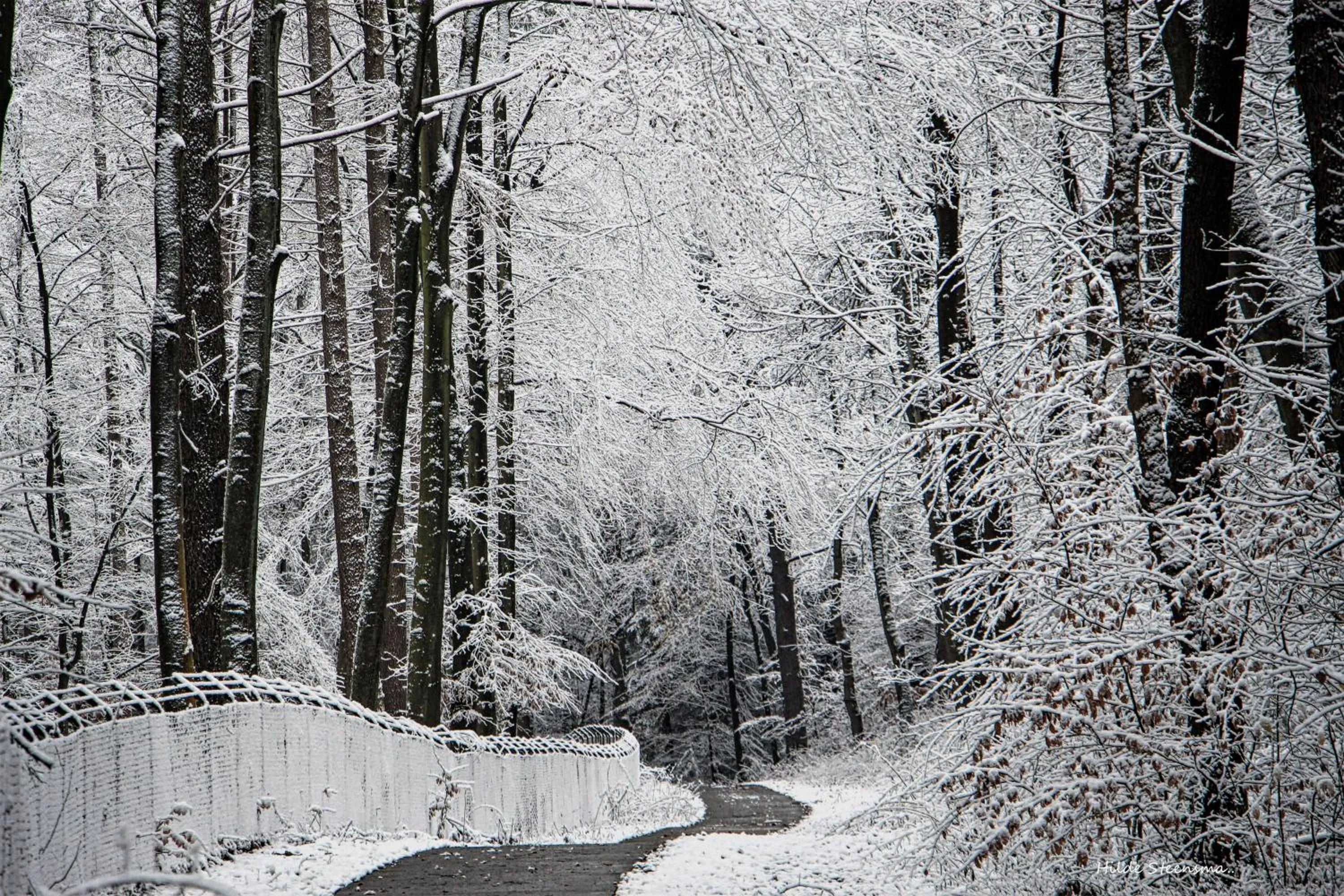 Natural landscape in Selatuinen