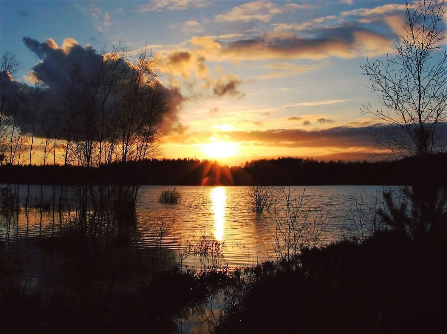 Area and facilities in Selatuinen