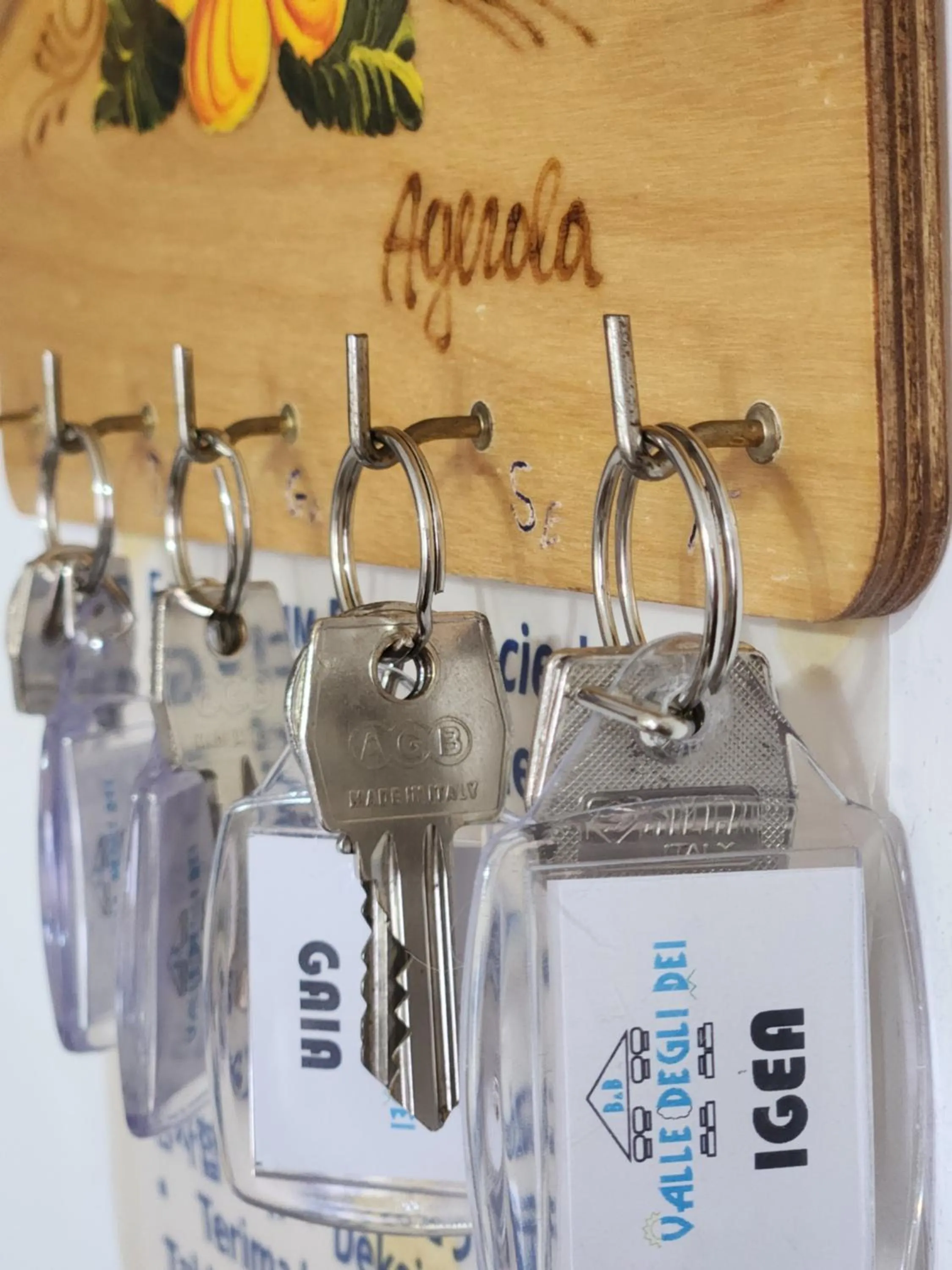 Logo/Certificate/Sign in Valle degli Dei
