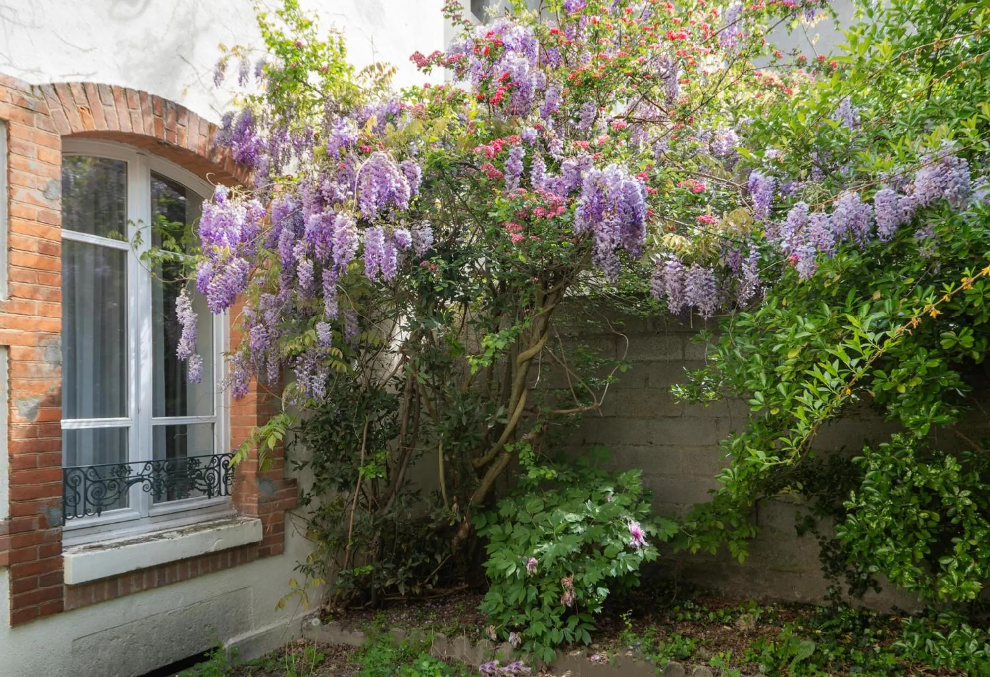Garden in Résidence Bains Callou située face aux thermes