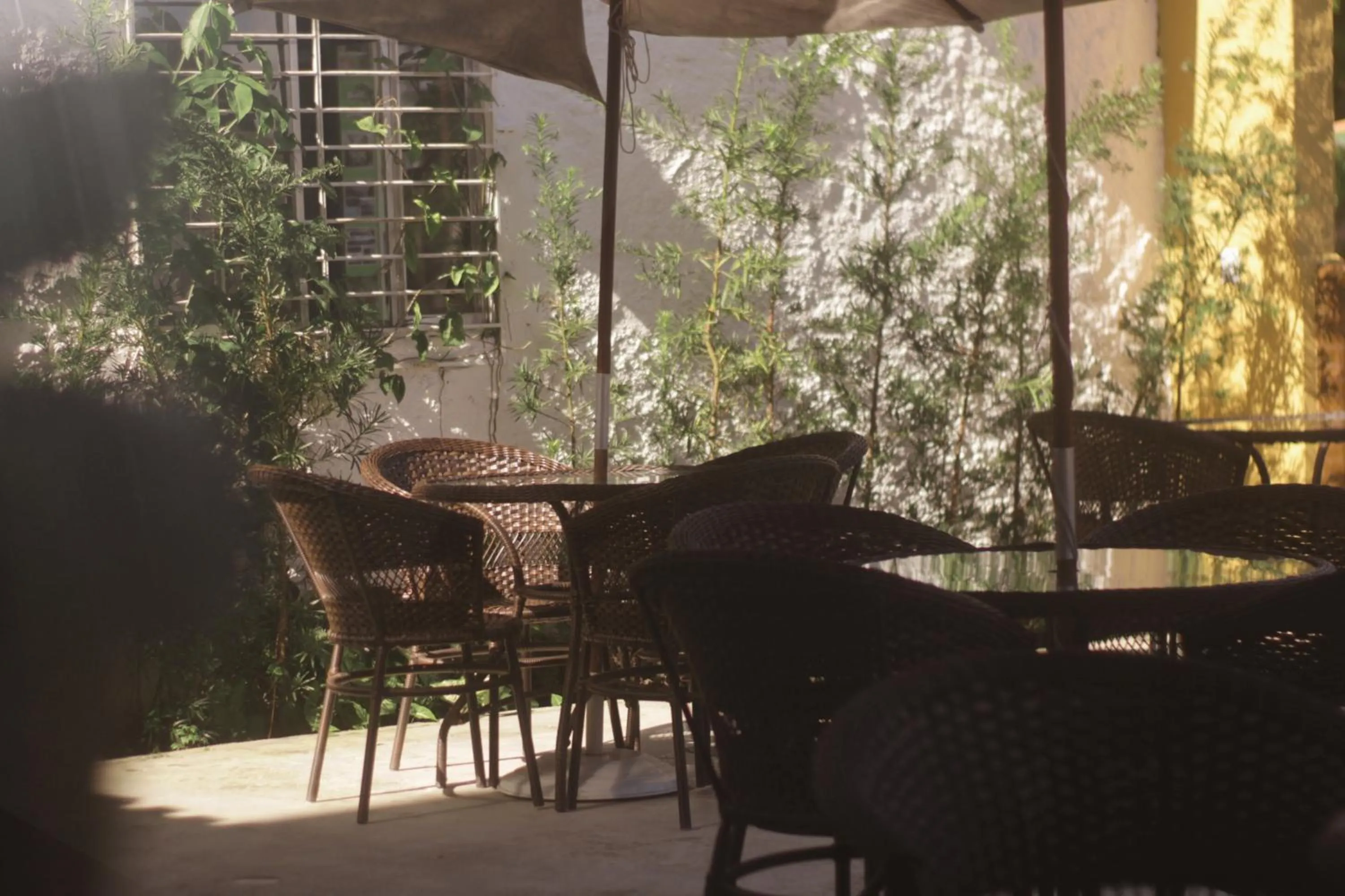 Restaurant/places to eat in Pousada Lisamar