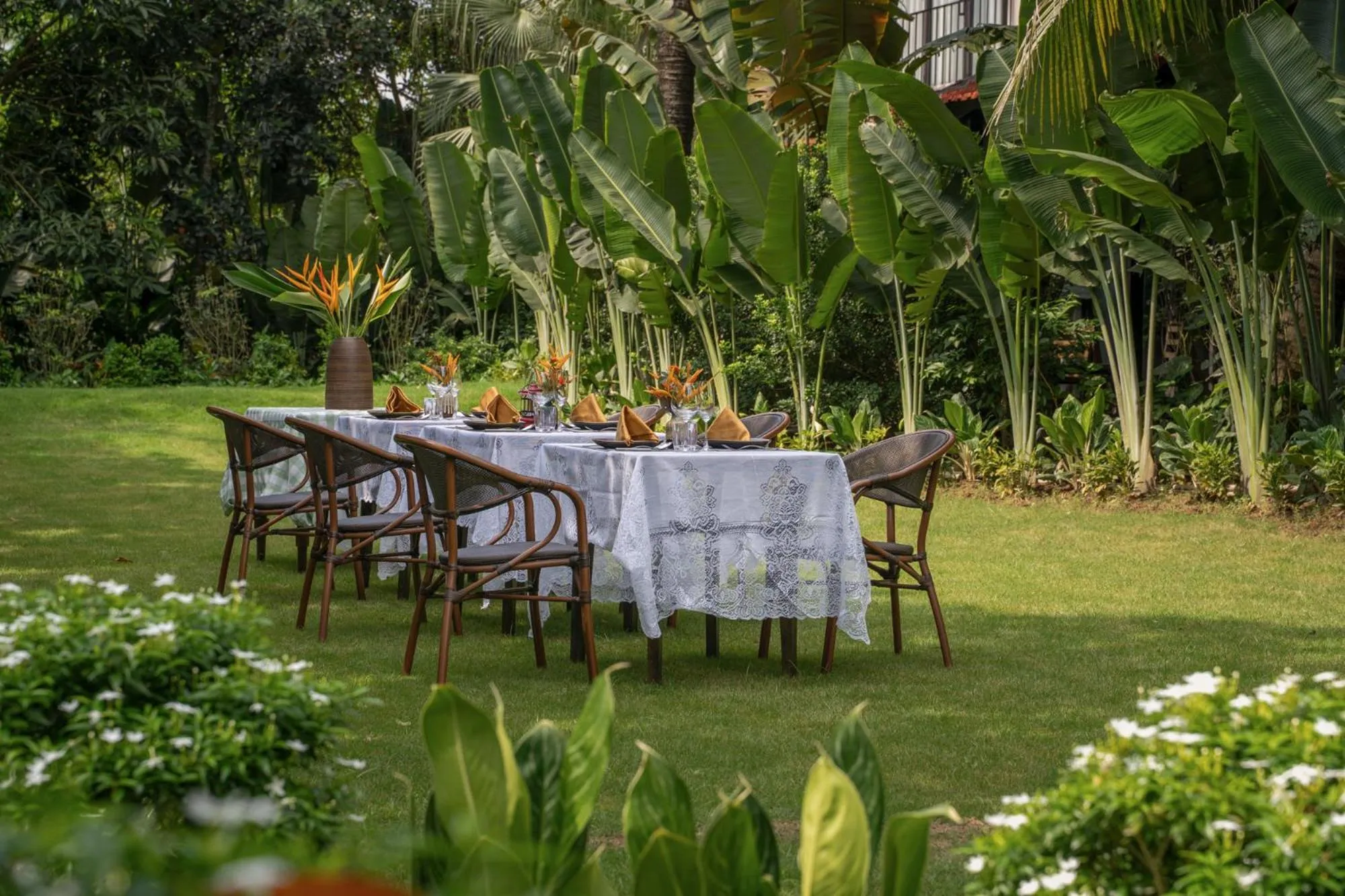 Spring in Coco Island Resort Ninh Binh