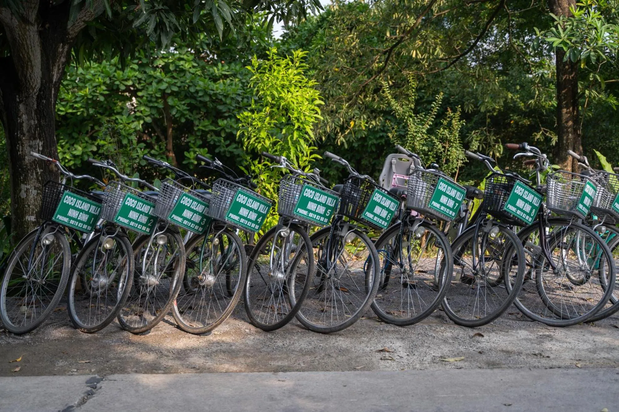 Day in Coco Island Resort Ninh Binh