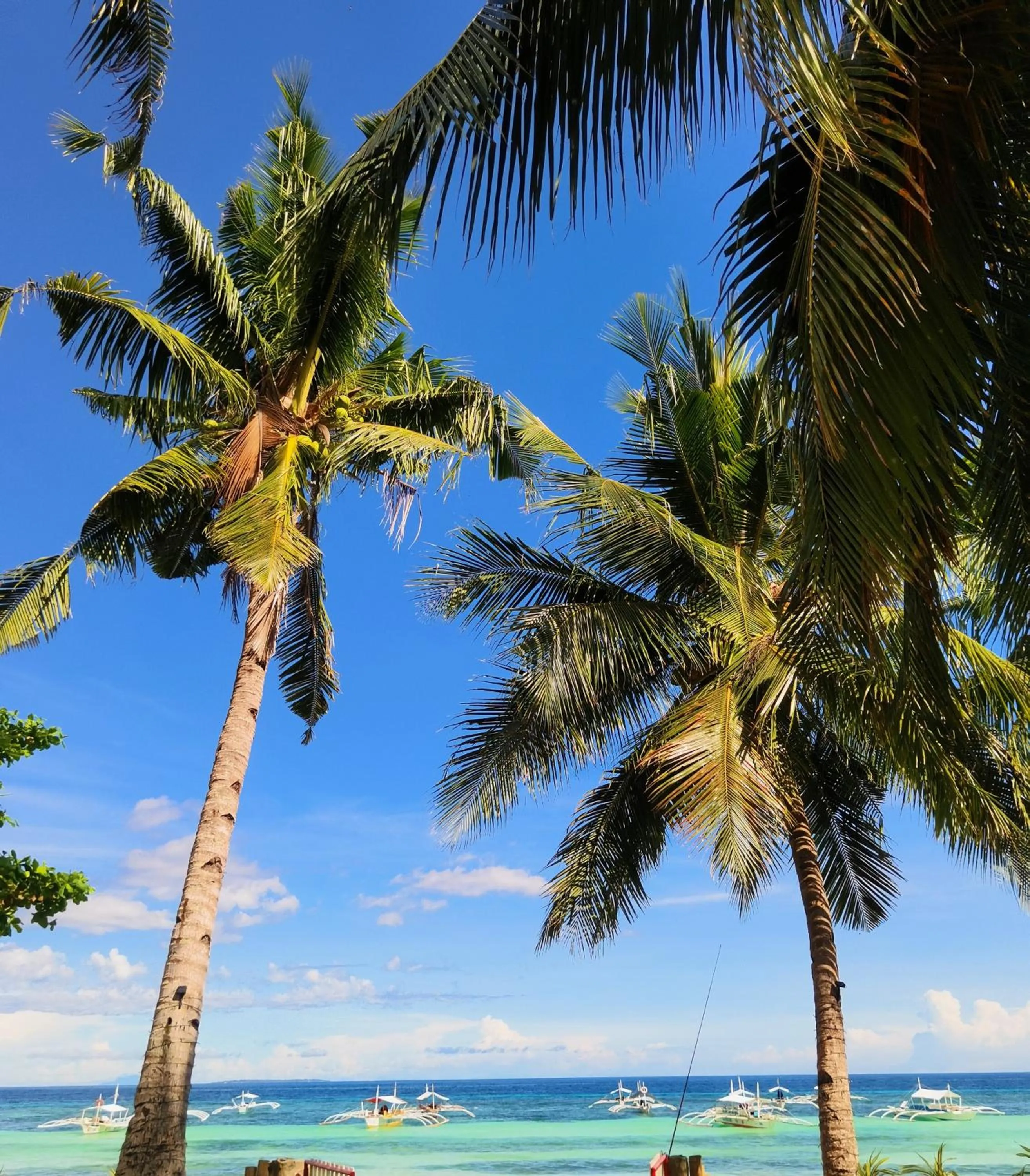 On Board Panglao Beach Hostel & Resort with FREE MOTORBIKE