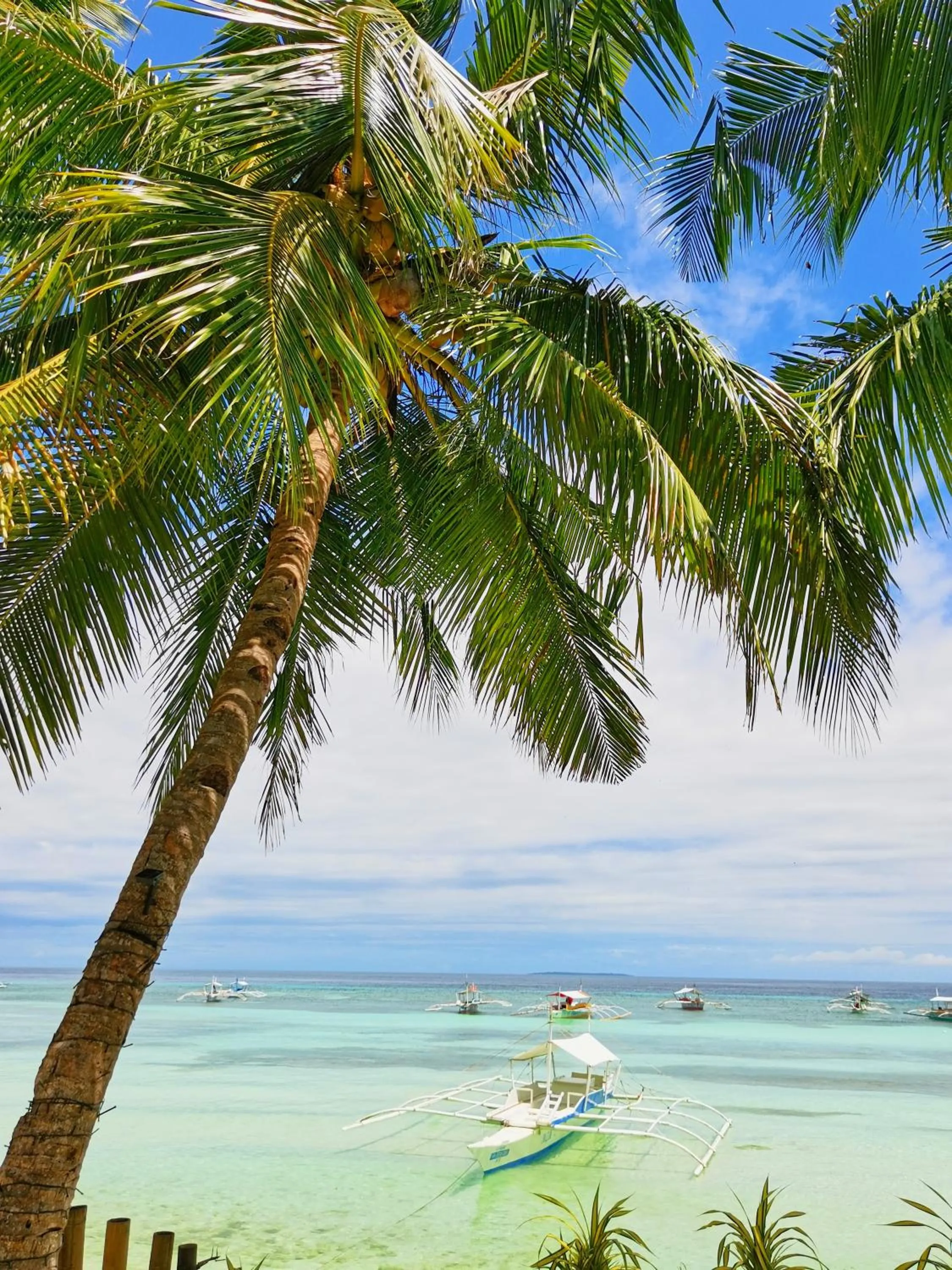On Board Panglao Beach Hostel & Resort with FREE MOTORBIKE