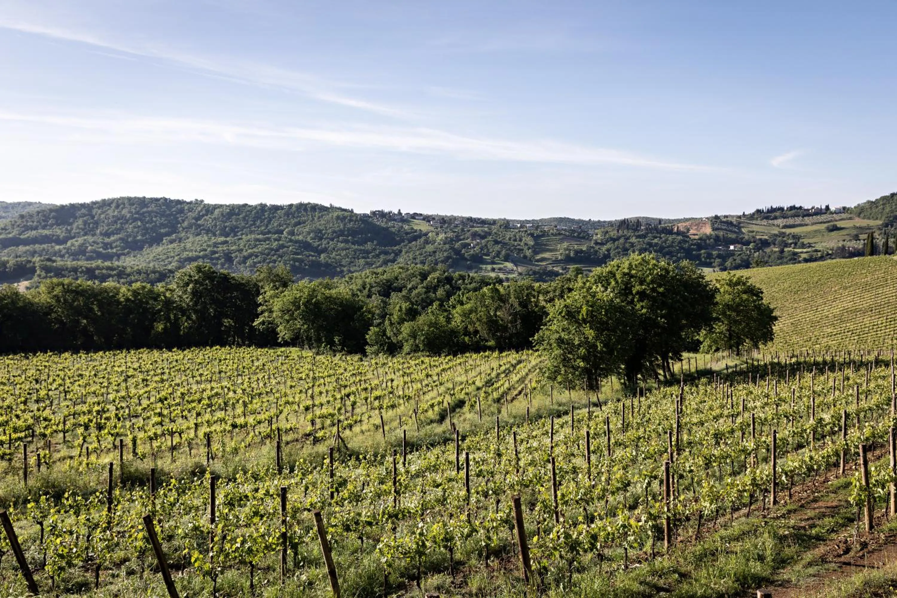 Natural landscape in Pieve Aldina Relais & Châteaux