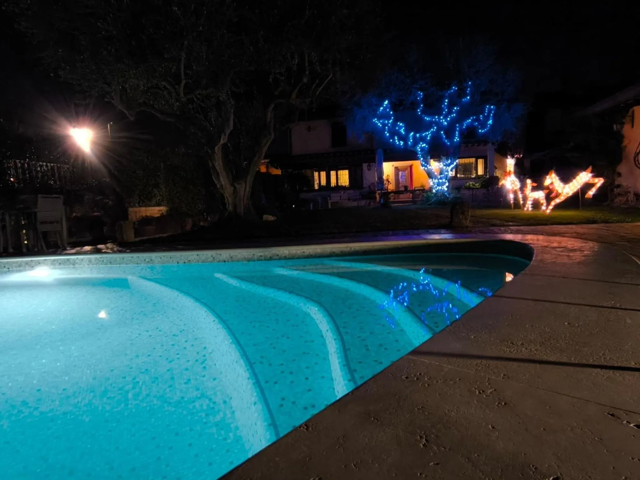 Garden in La Valle dei Casali B&B Green Boutique