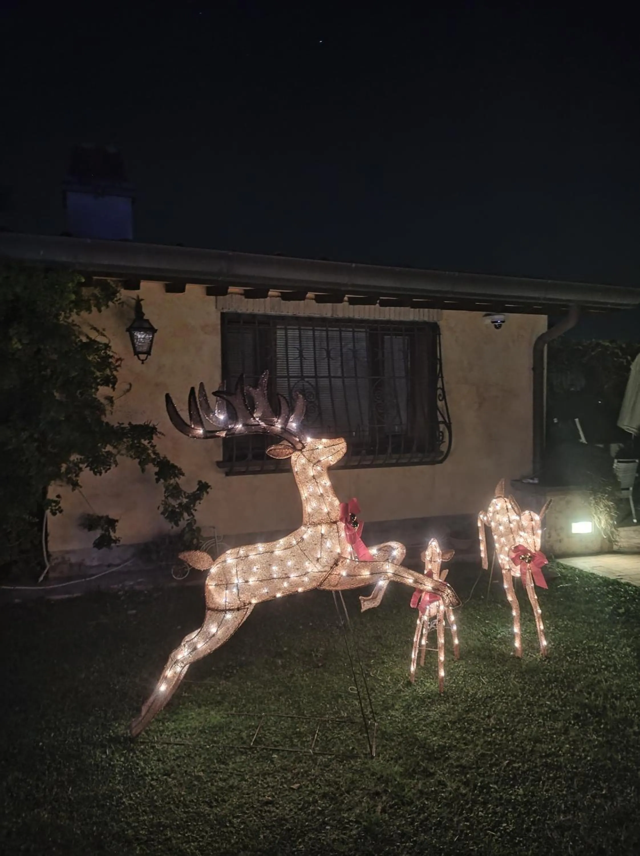 Garden in La Valle dei Casali B&B Green Boutique