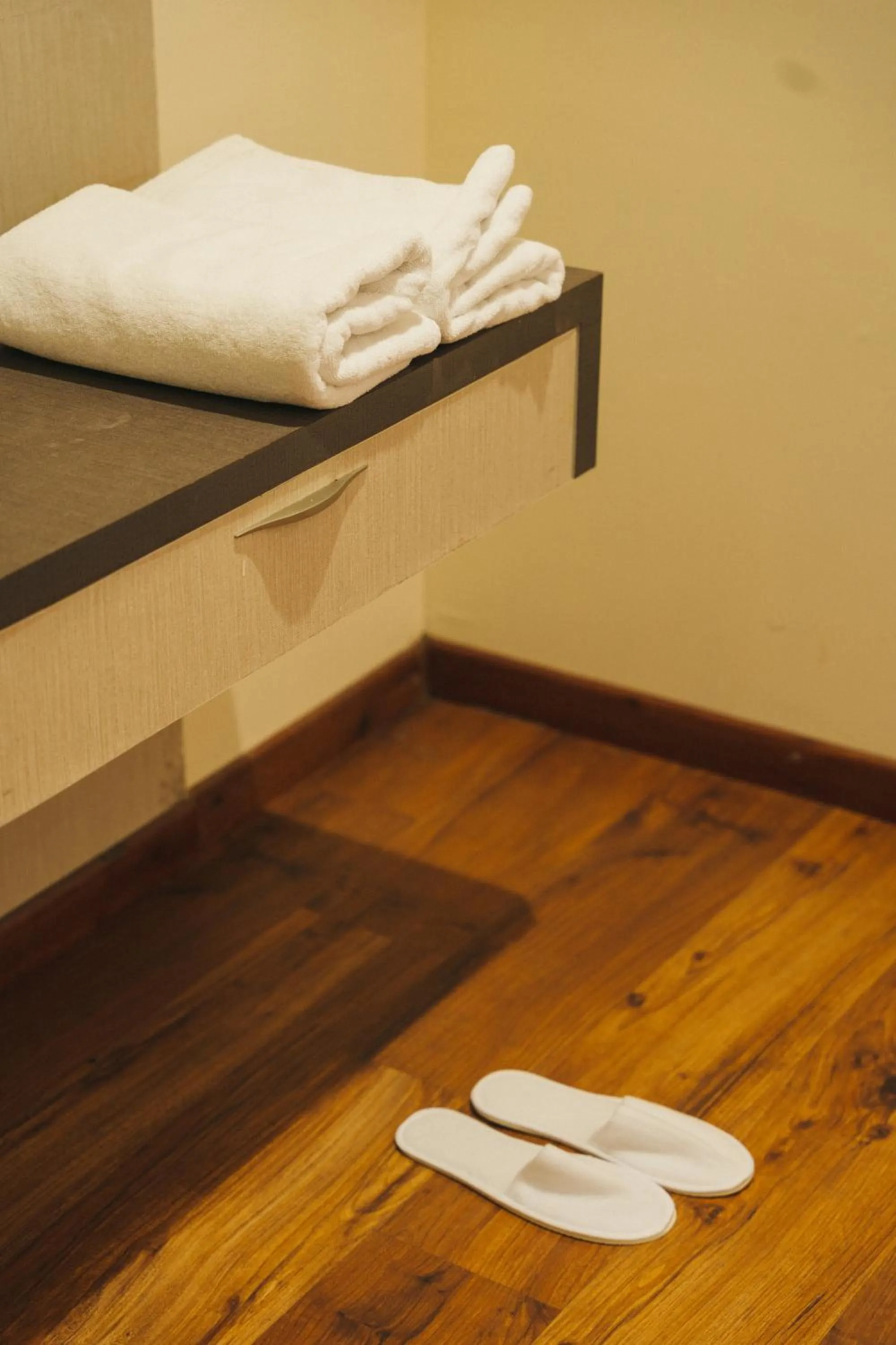 room service in New Hotel Snow Crest