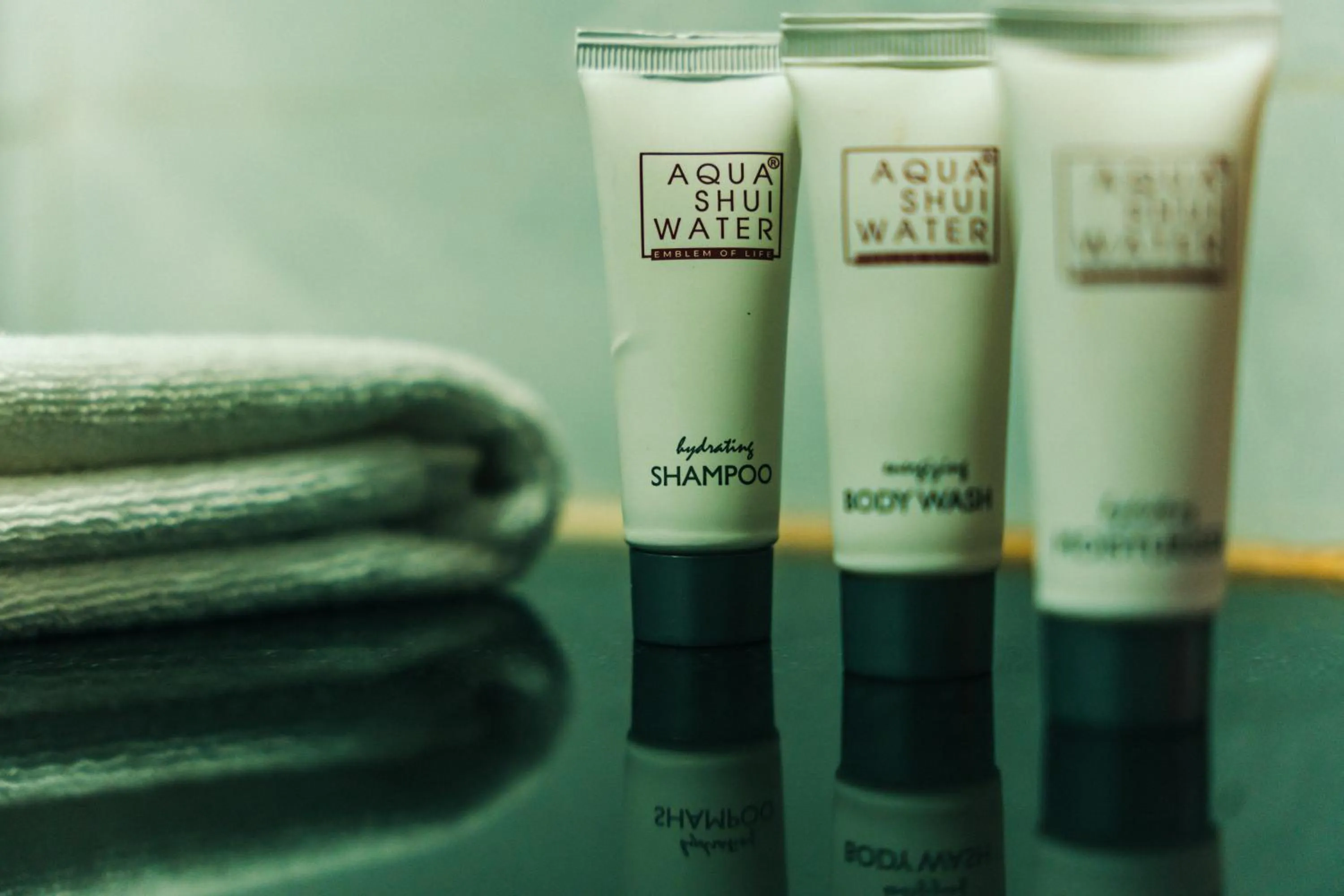 Bathroom in New Hotel Snow Crest