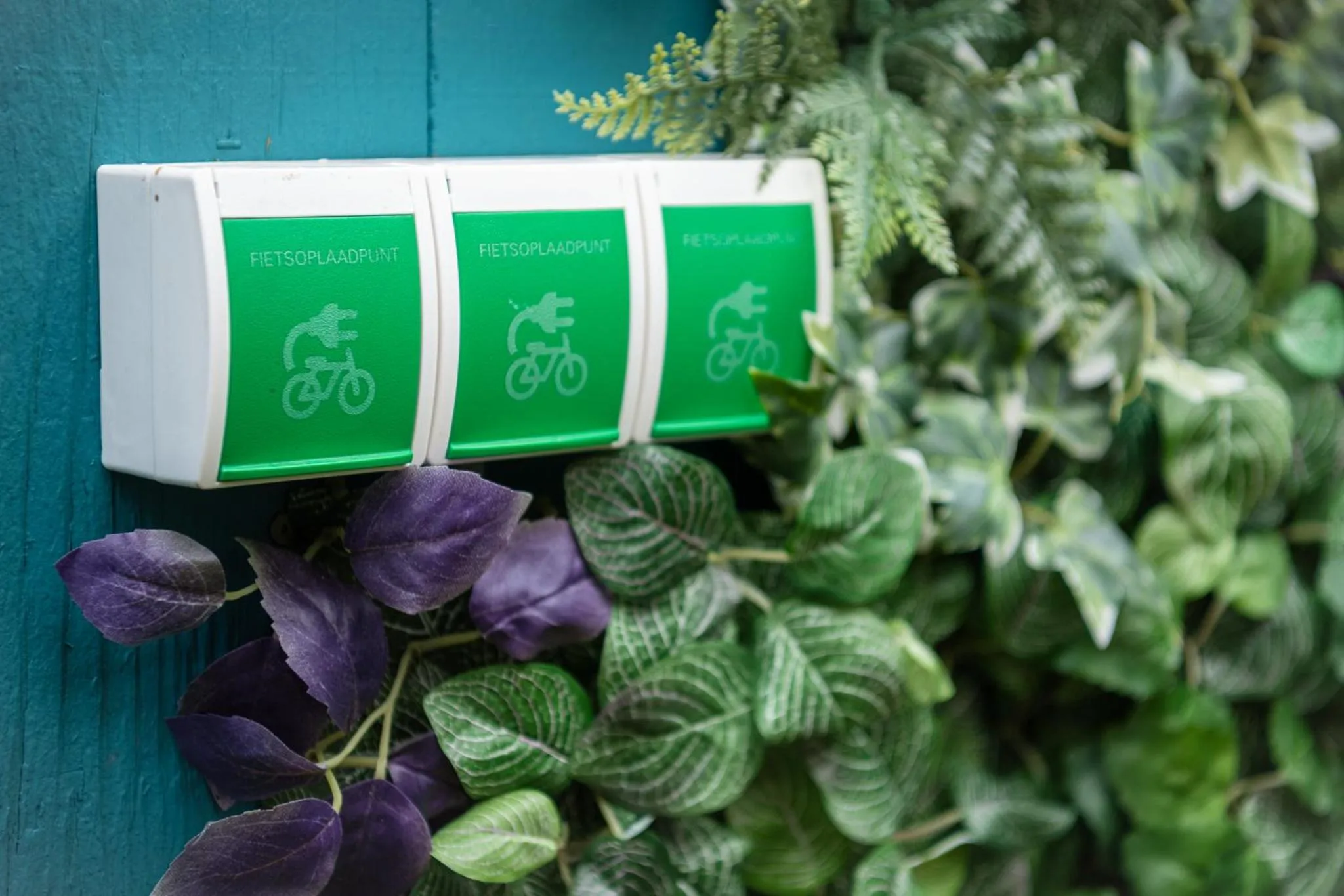 Cycling in Hotel Old Dutch Bergen op Zoom