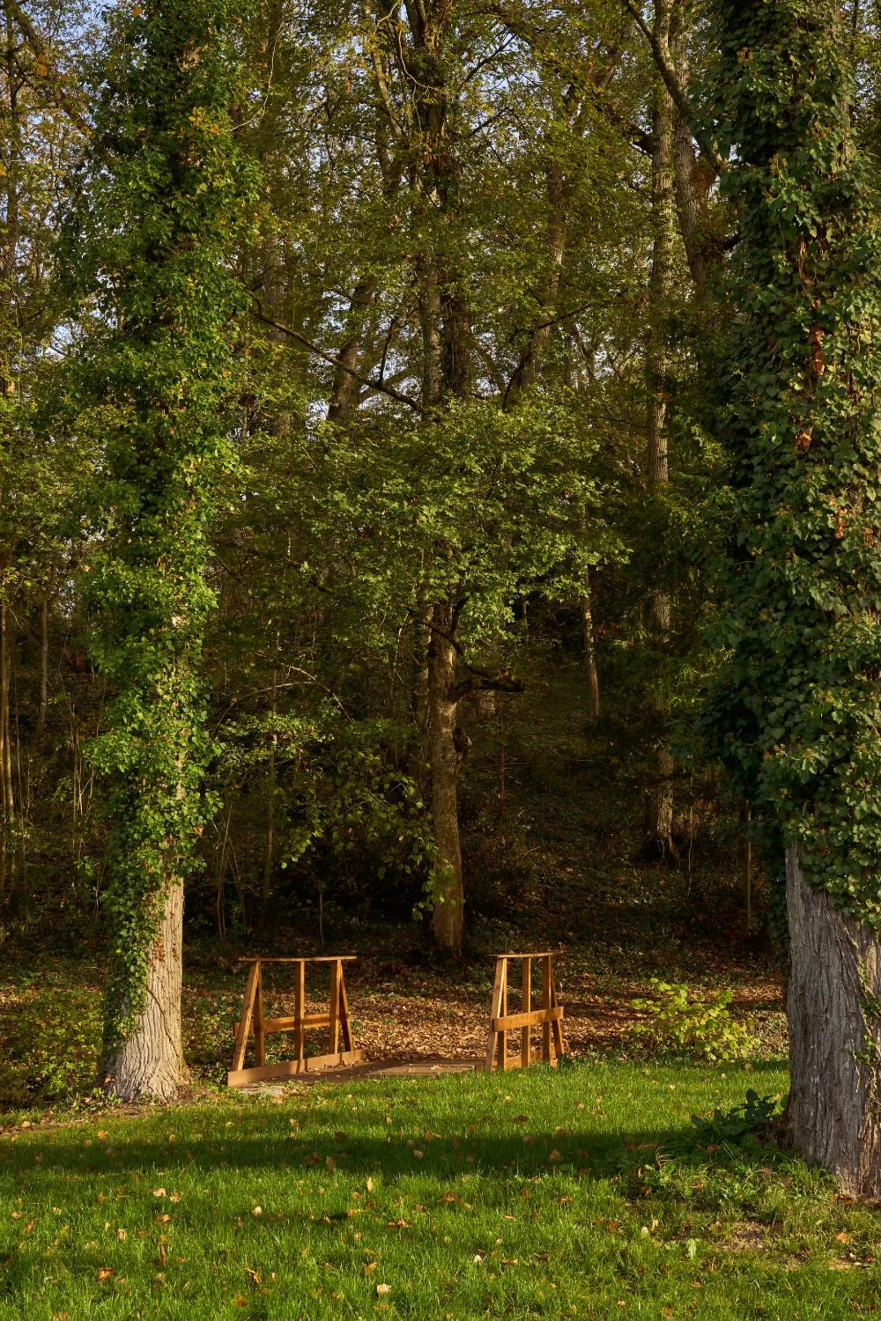 Garden in Domaine de la Commanderie de Ballan
