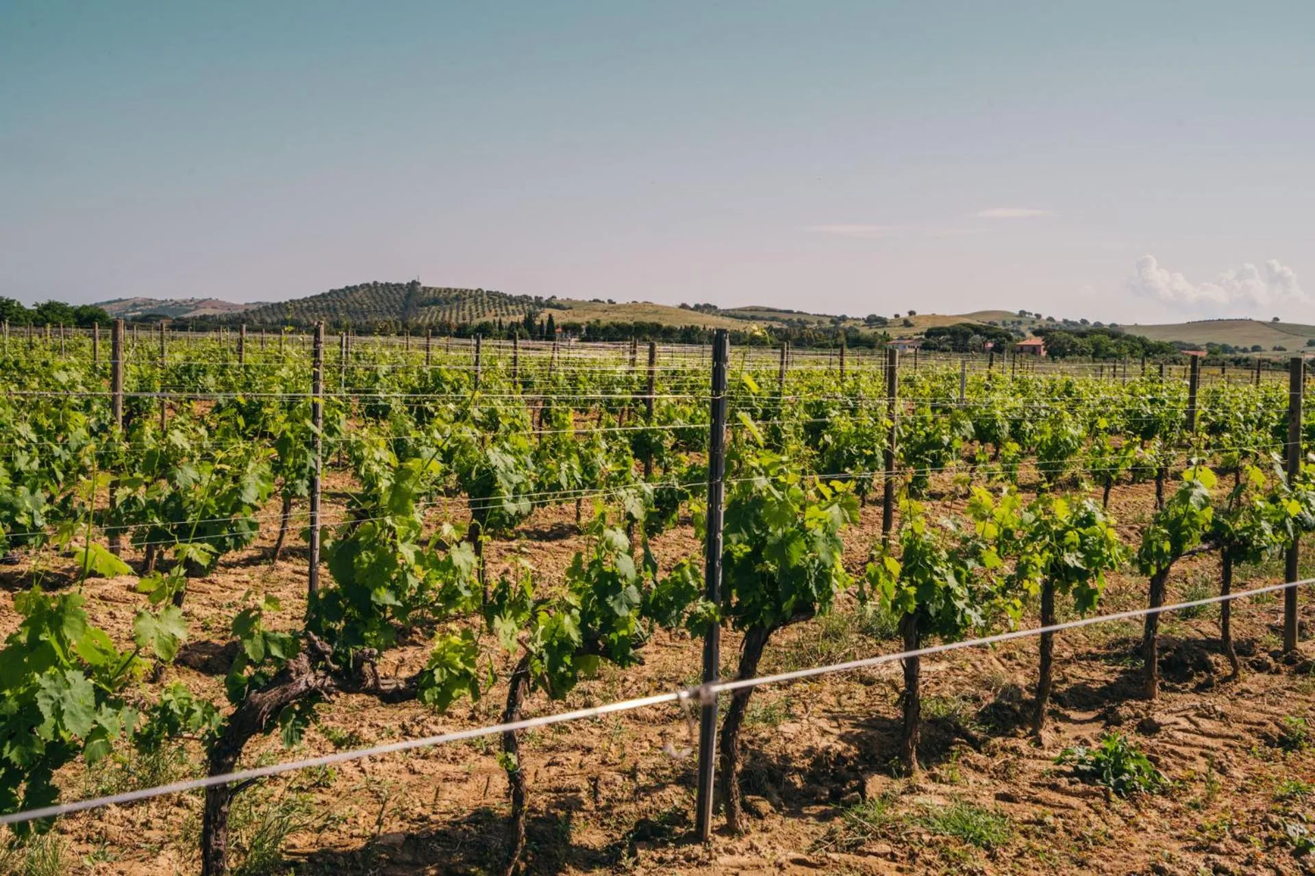 Garden view in Agriturismo il Laghetto