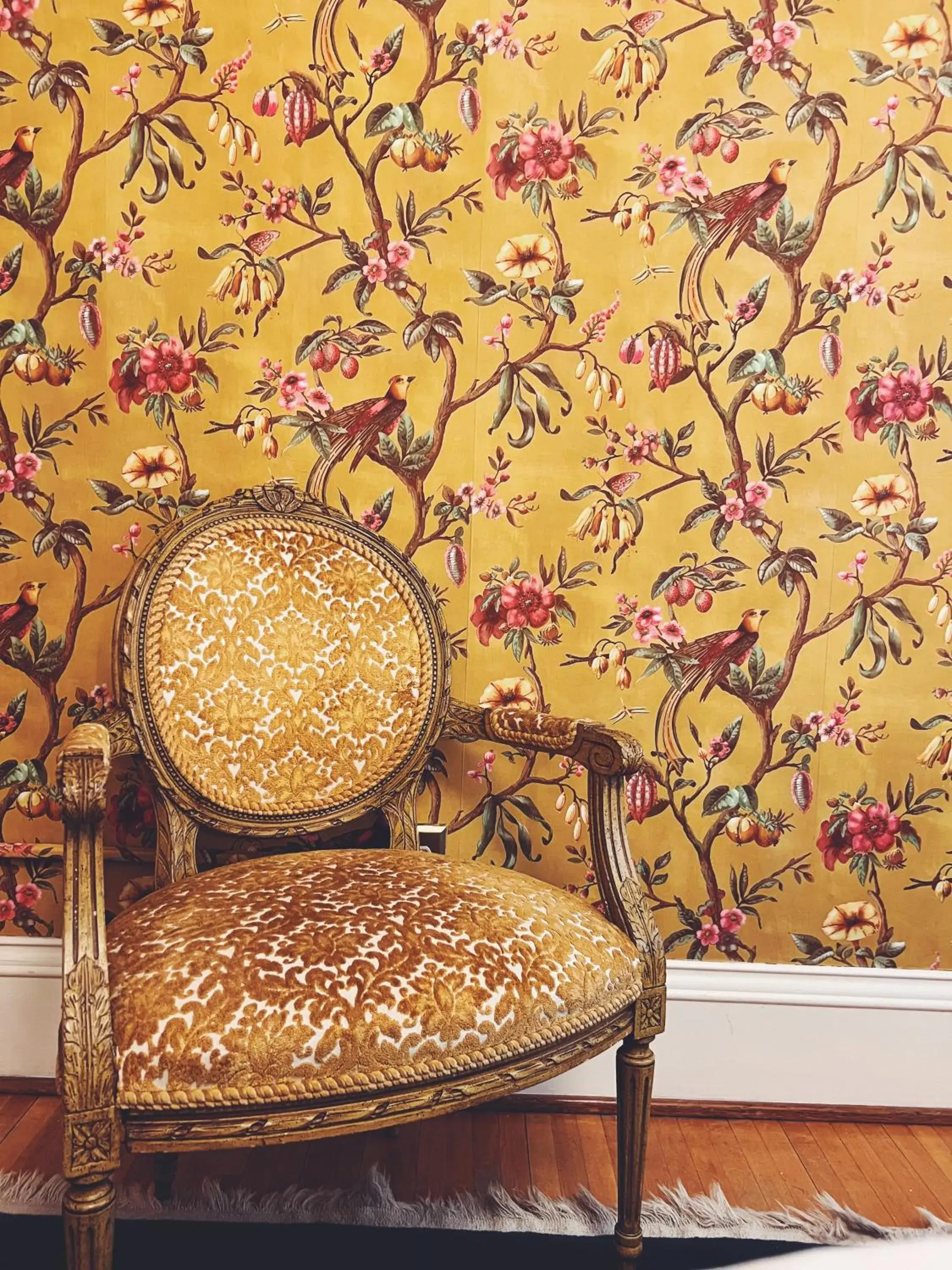 Double Room with Shared Bathroom - single occupancy in Marianna Stoltz House Double Room with Shared Bathroom - single occupancy in Marianna Stoltz House