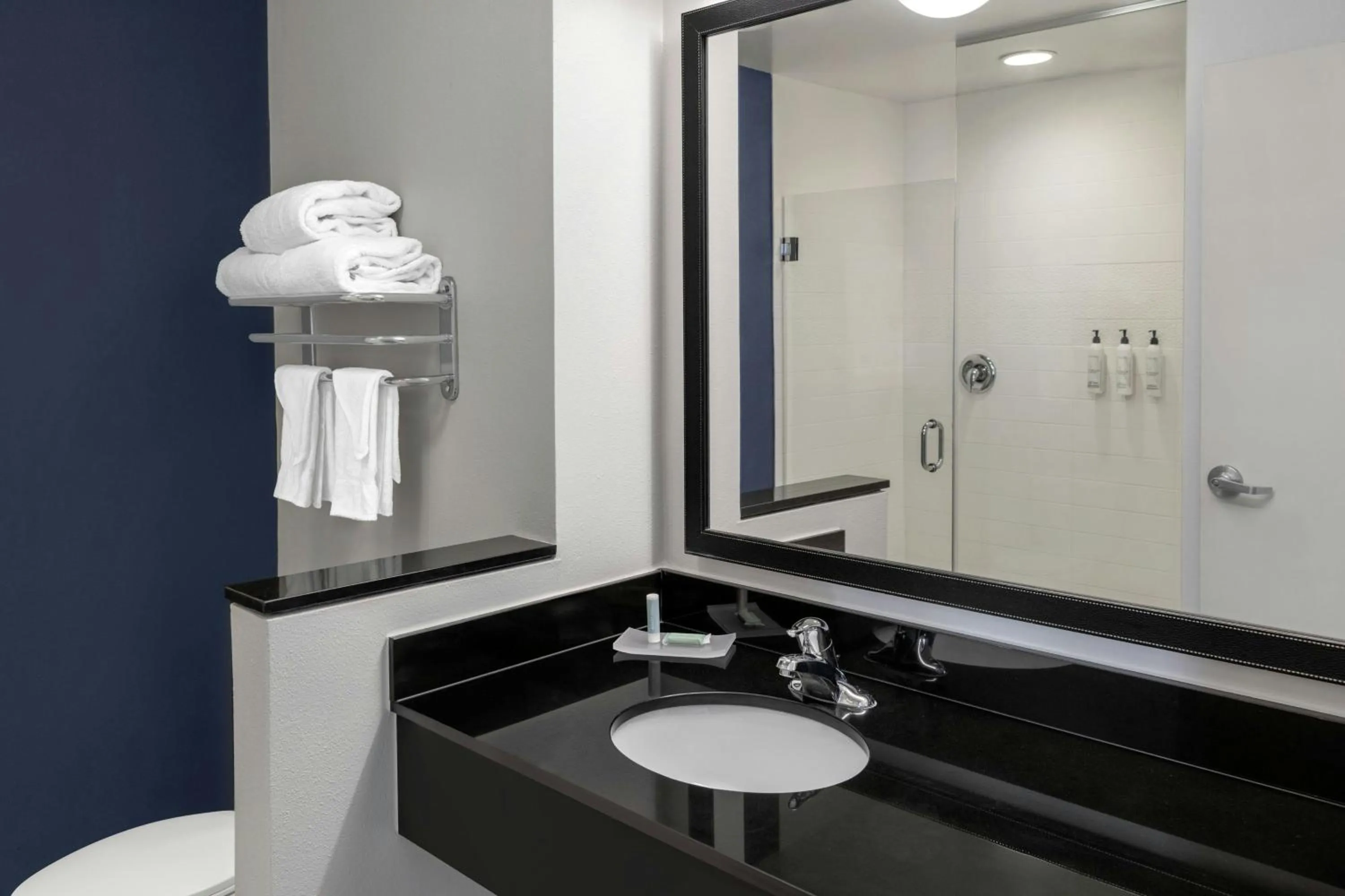 Bathroom in Fairfield Inn and Suites by Marriott Calhoun