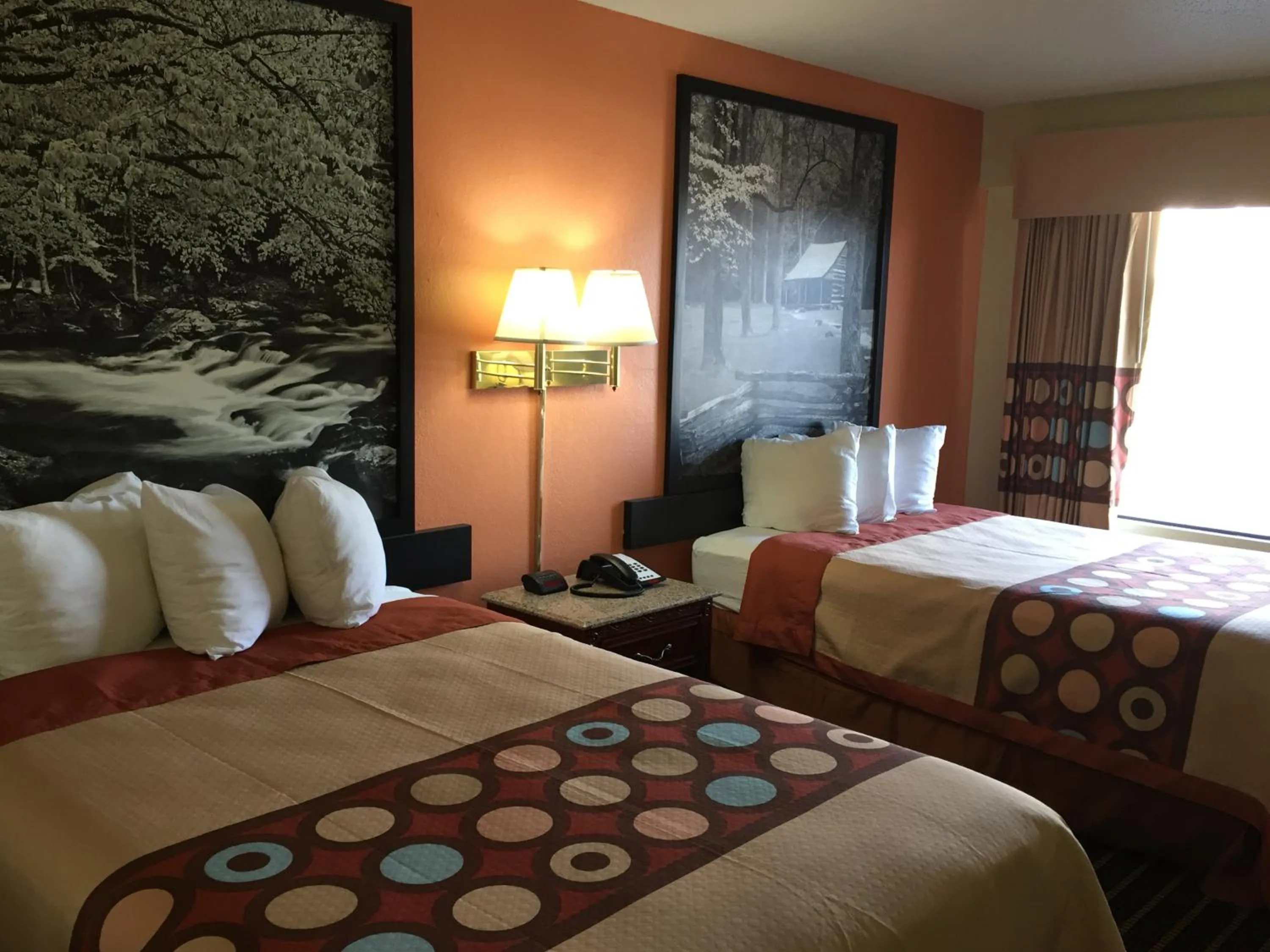 Other, Bed in Super 8 by Wyndham Dandridge