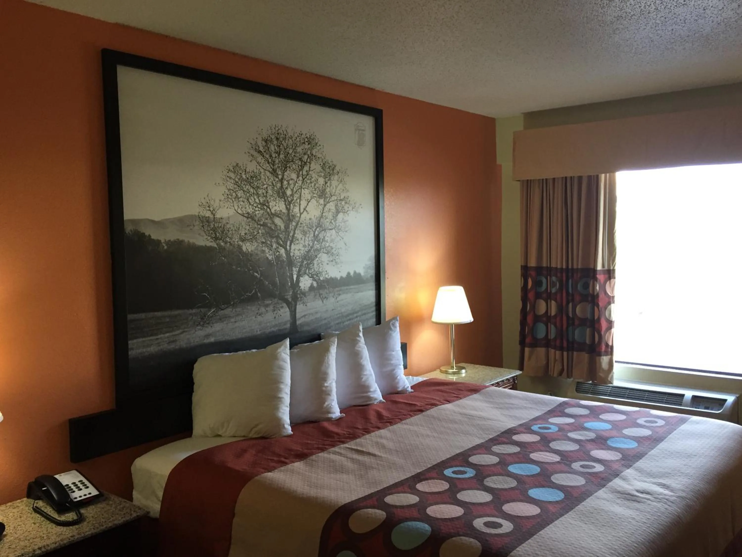 Other, Bed in Super 8 by Wyndham Dandridge