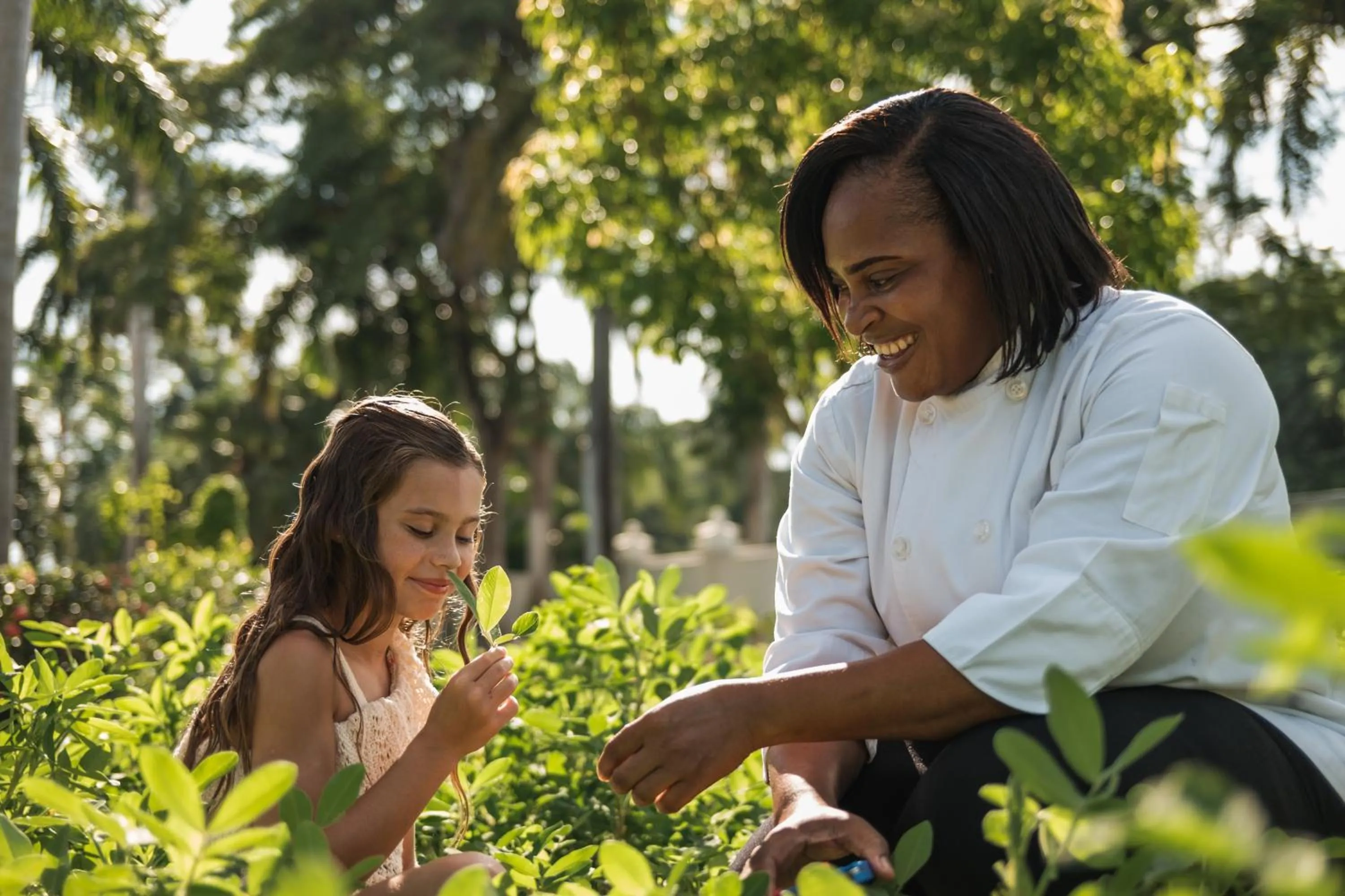 Garden in Hyatt Ziva Rose Hall - All Inclusive