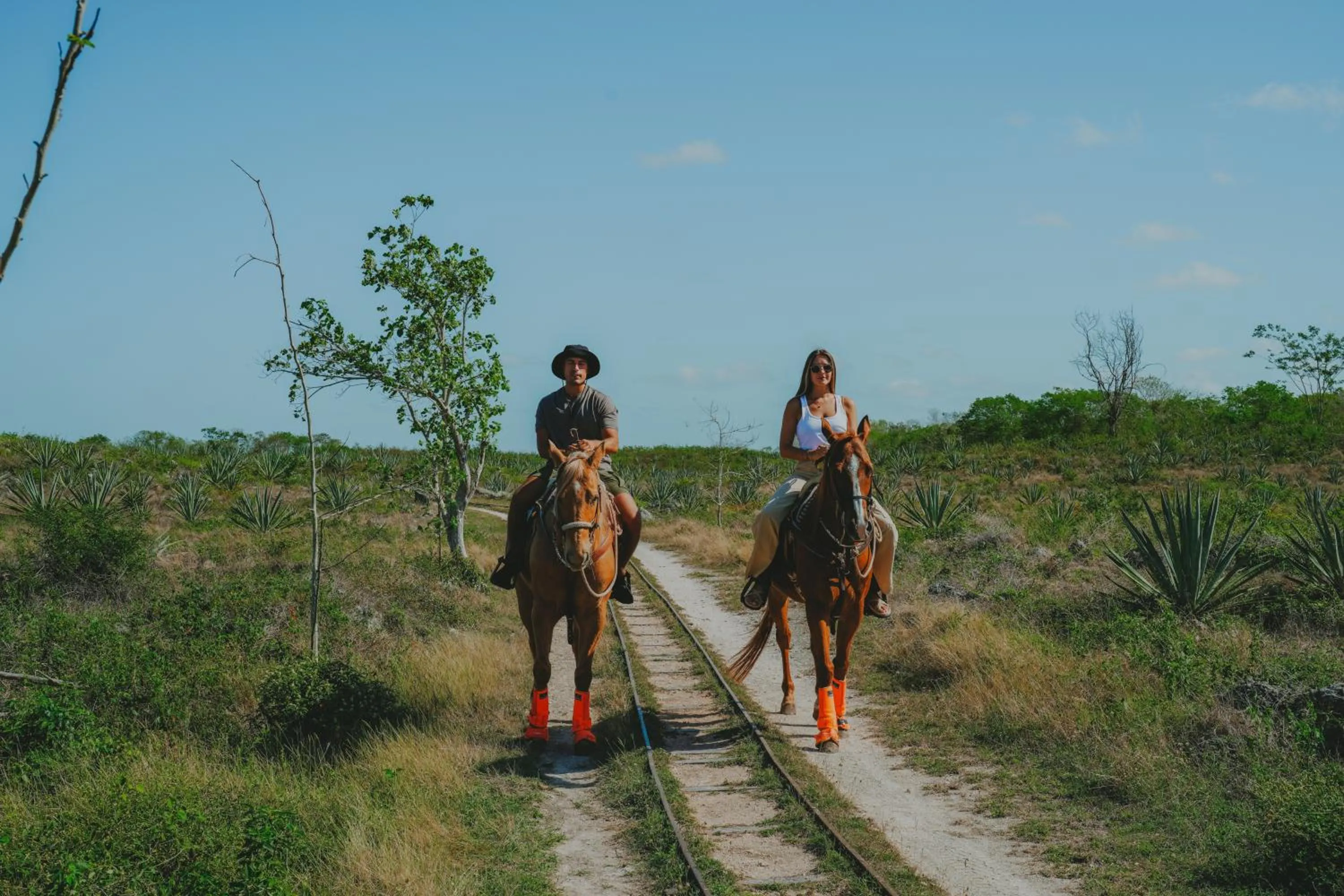 Horse-riding in Viatura Hacienda Xtojil, Yucatan, Merida, with Optional All Inclusive