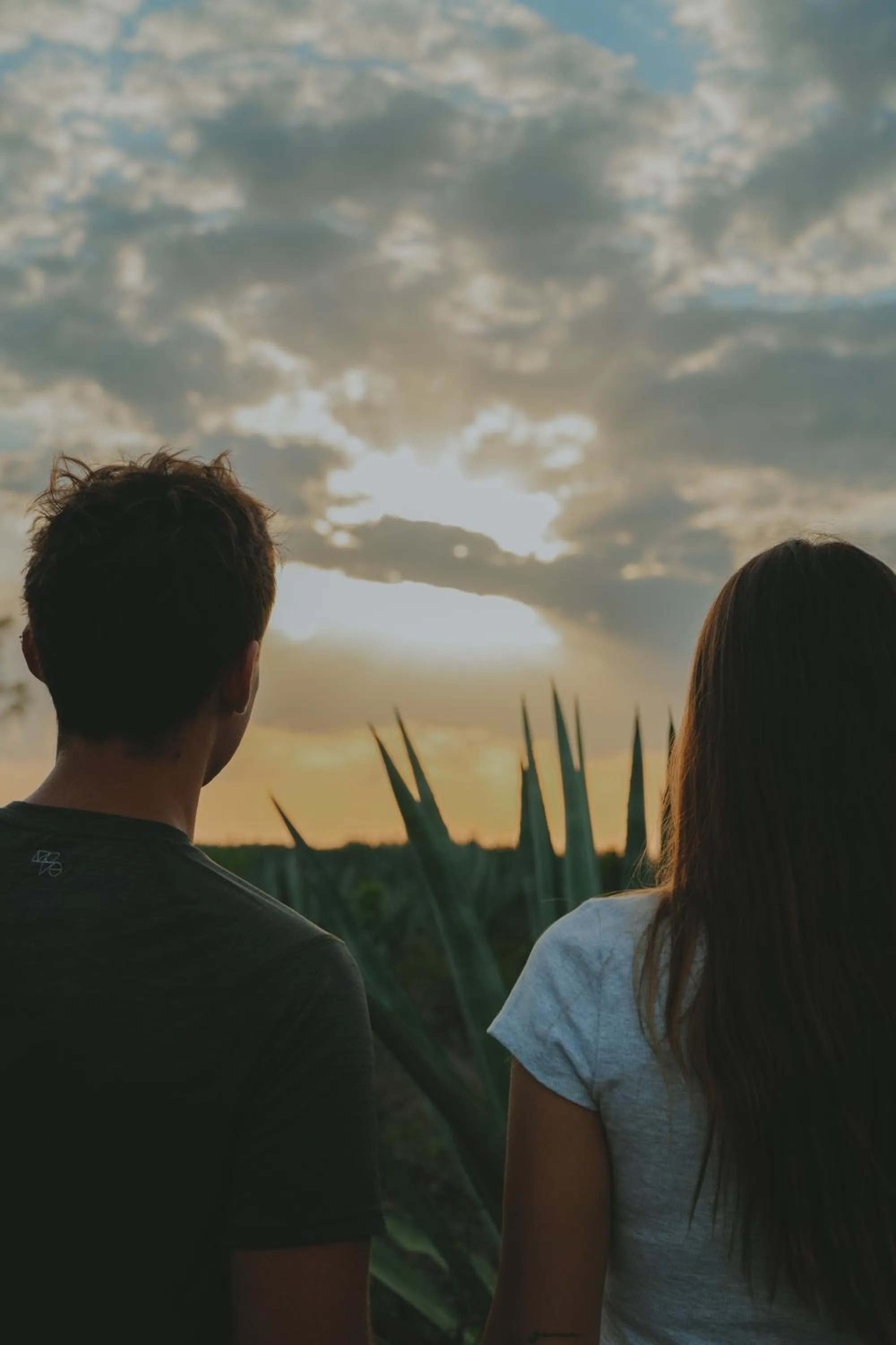 Inner courtyard view in Viatura Hacienda Xtojil, Yucatan, Merida, with Optional All Inclusive