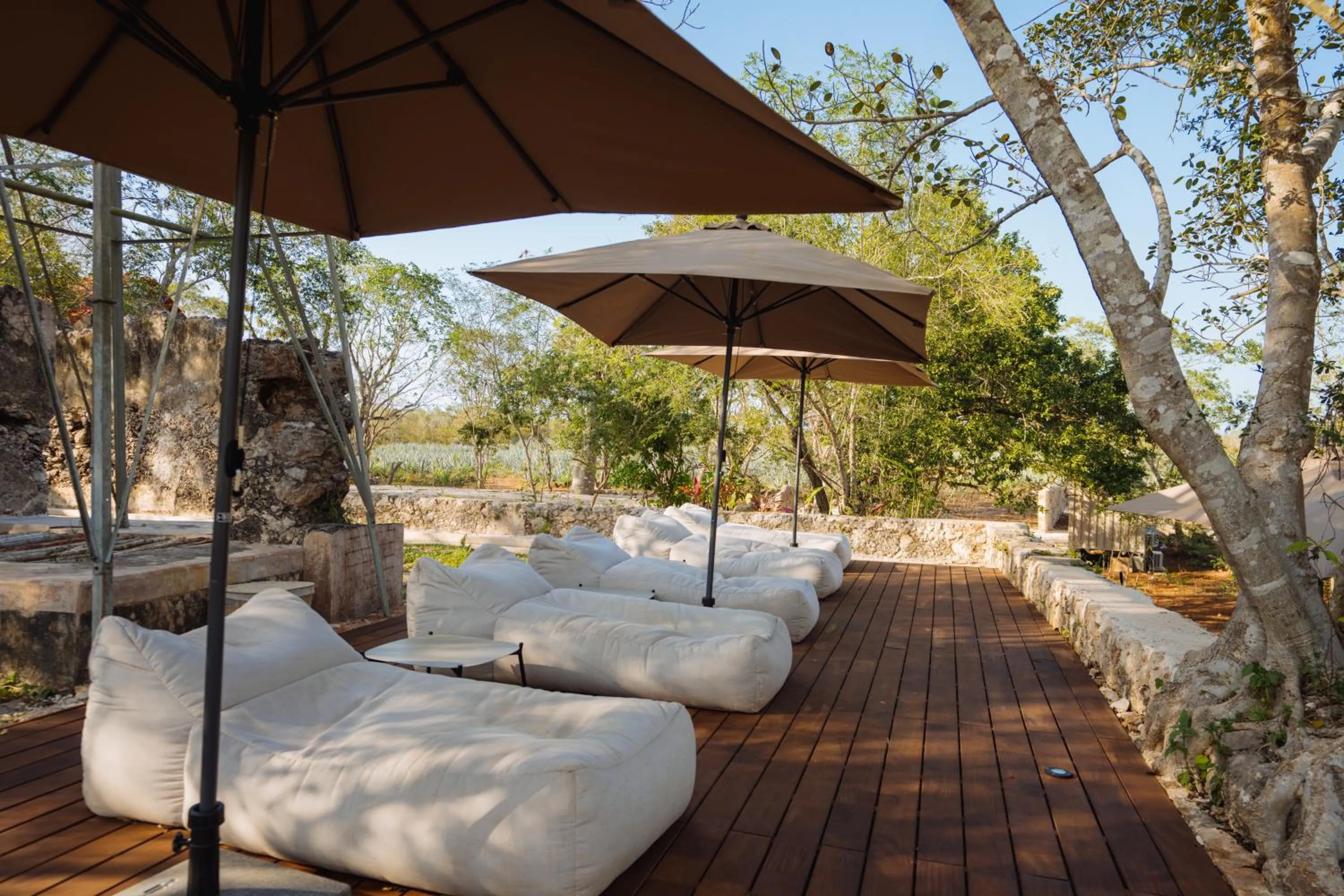 Garden in Viatura Hacienda Xtojil, Yucatan, Merida, with Optional All Inclusive