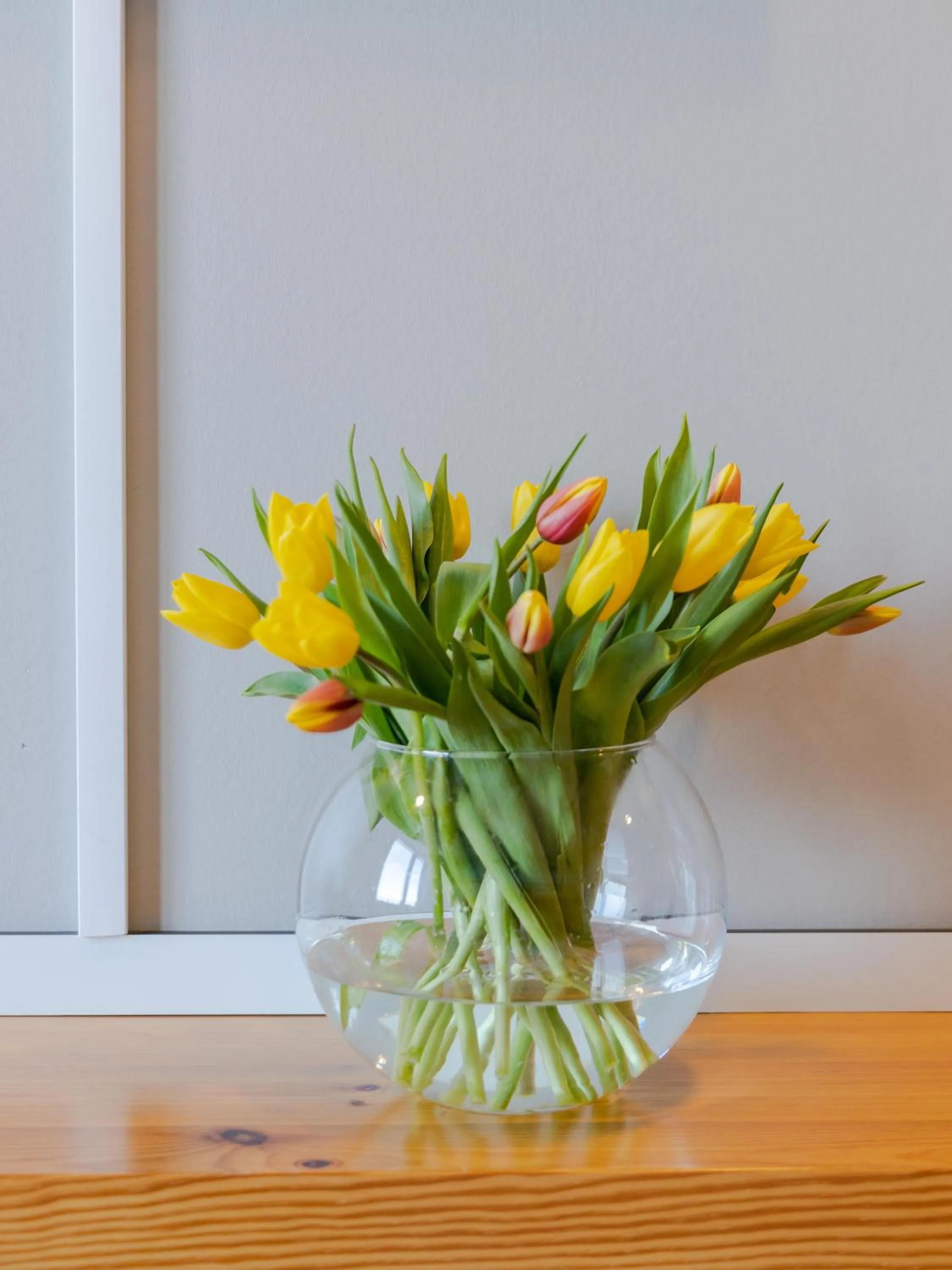 Summer in Hotel Garni - Haus 54