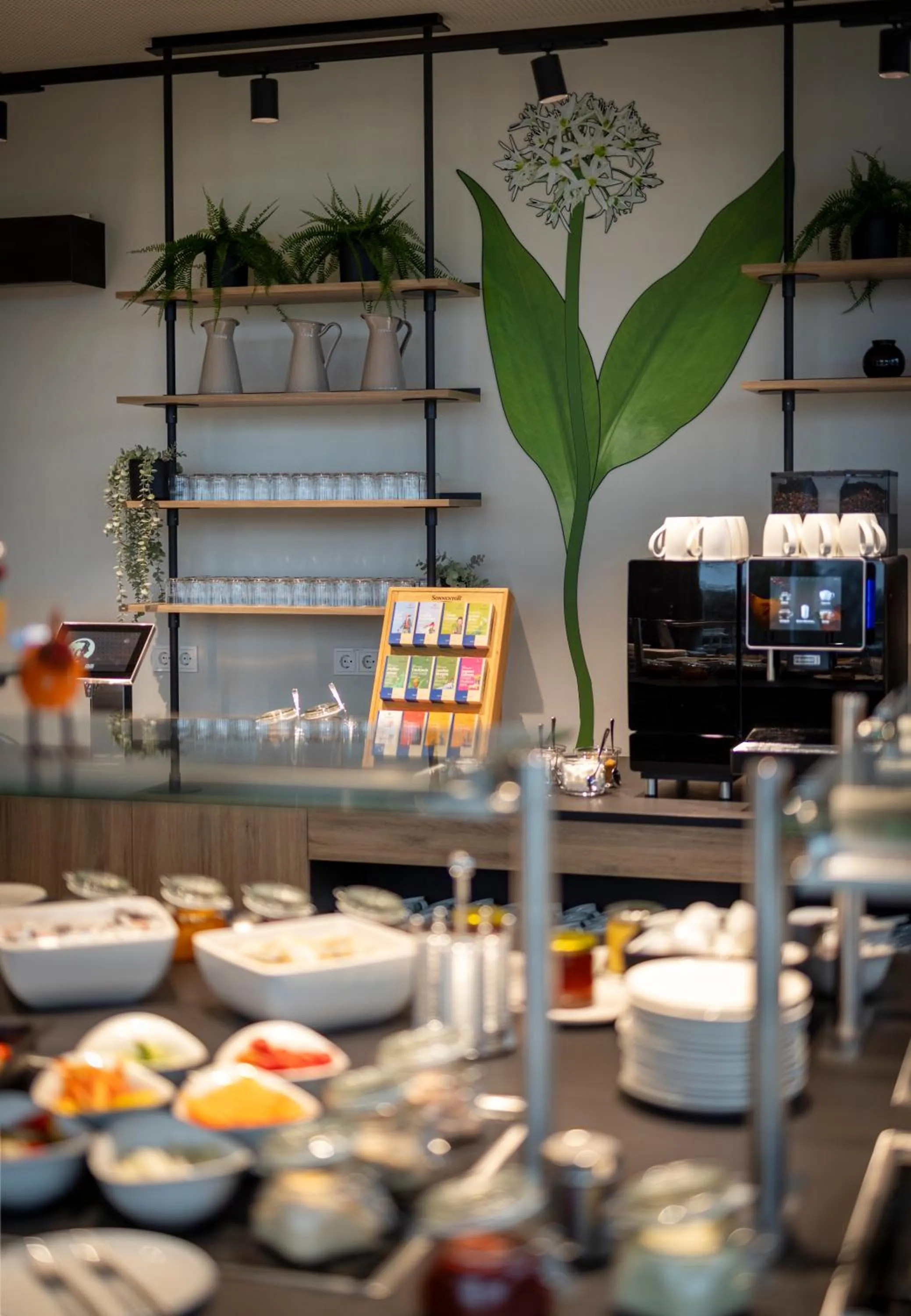 Buffet breakfast in JUFA Hotel Bad Radkersburg - inkl 4h Thermeneintritt in Parktherme