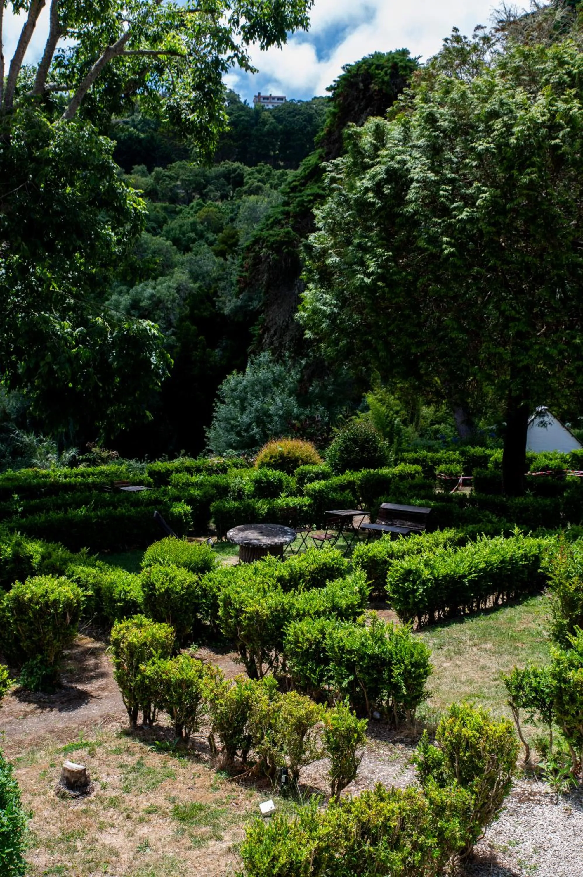 Day in WOT Sarrazola Soul