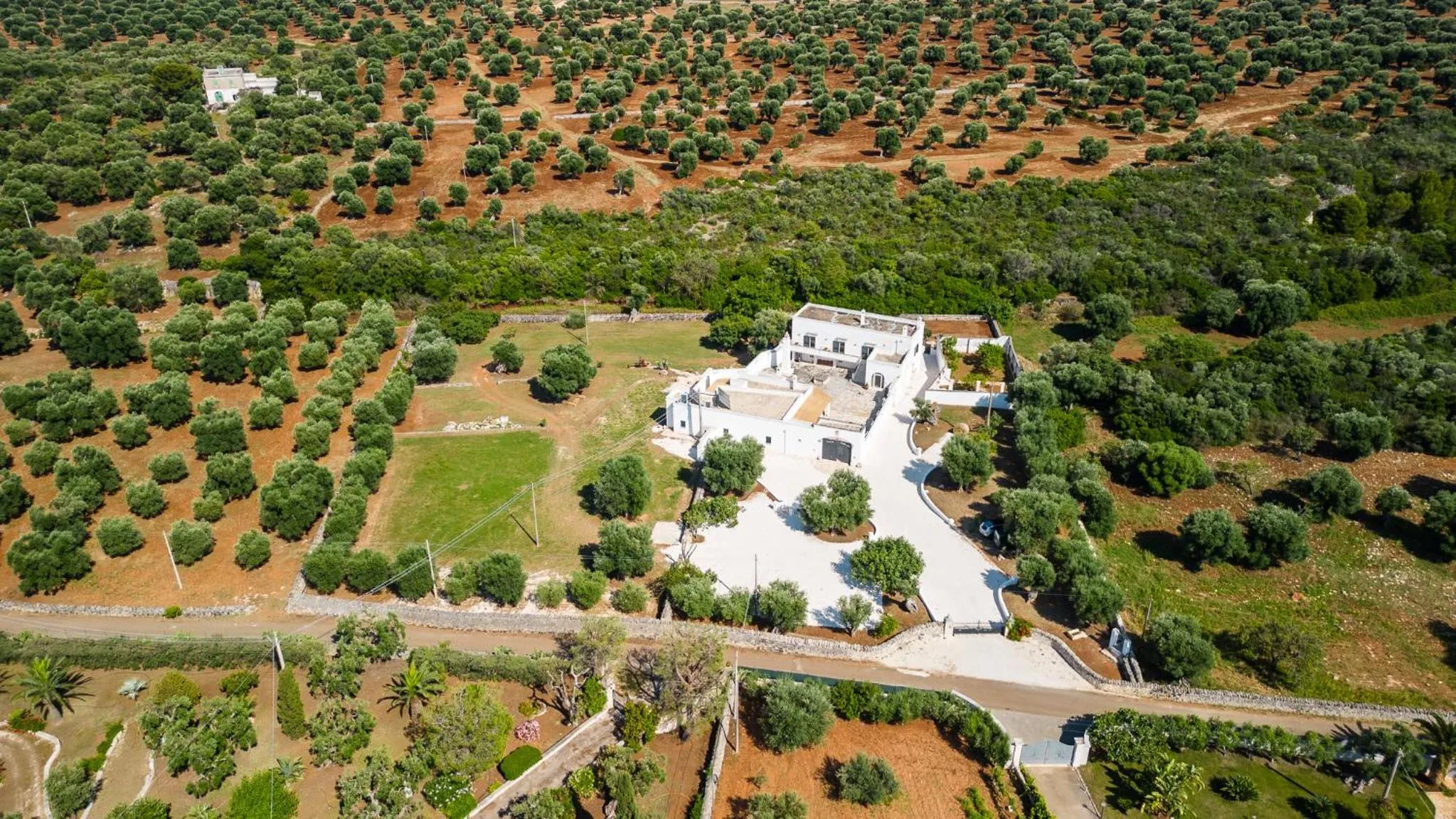 View (from property/room) in Masseria Abadia Uno