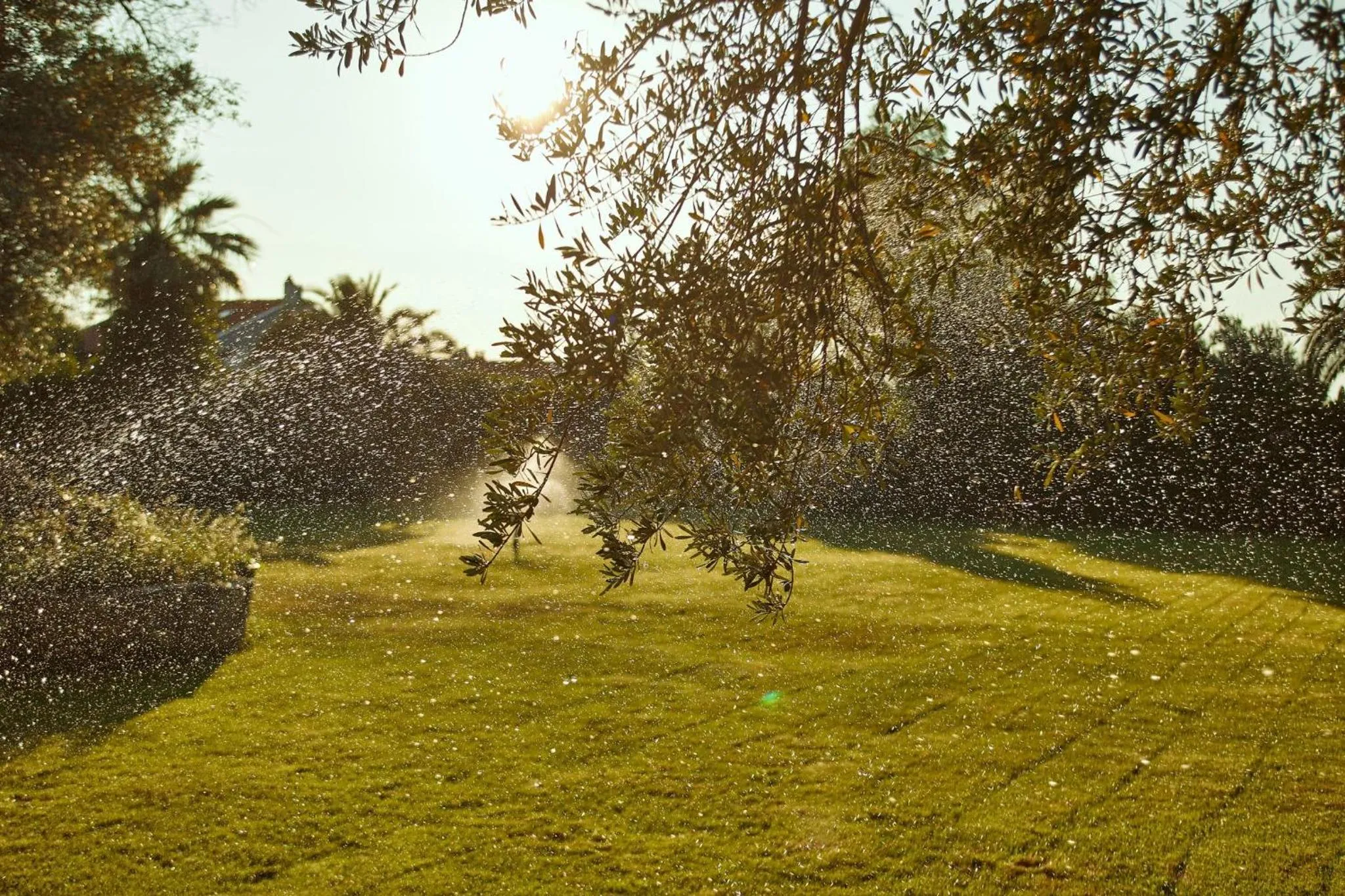 Natural landscape in İlçayto Rooms