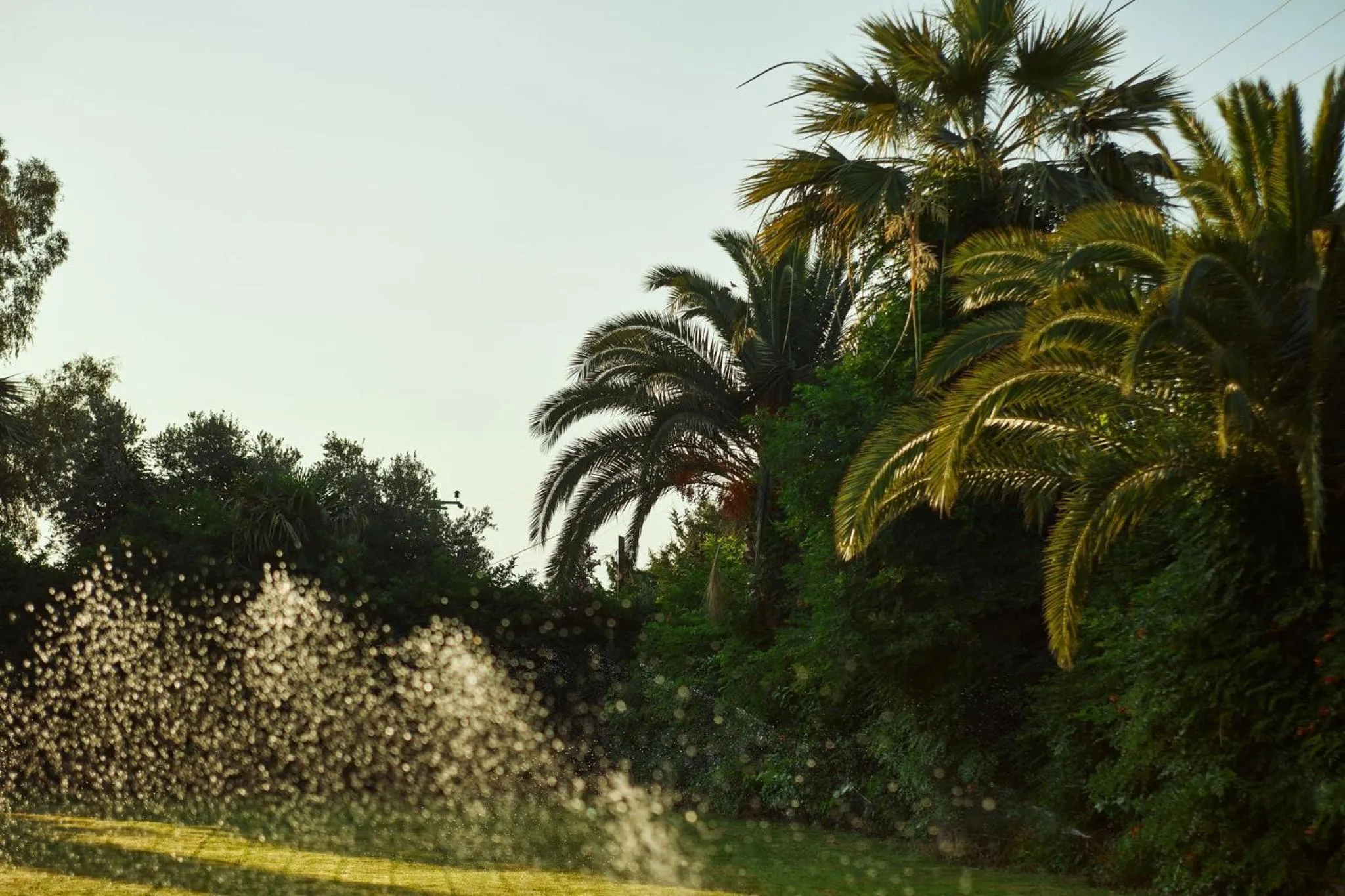 Natural landscape in İlçayto Rooms
