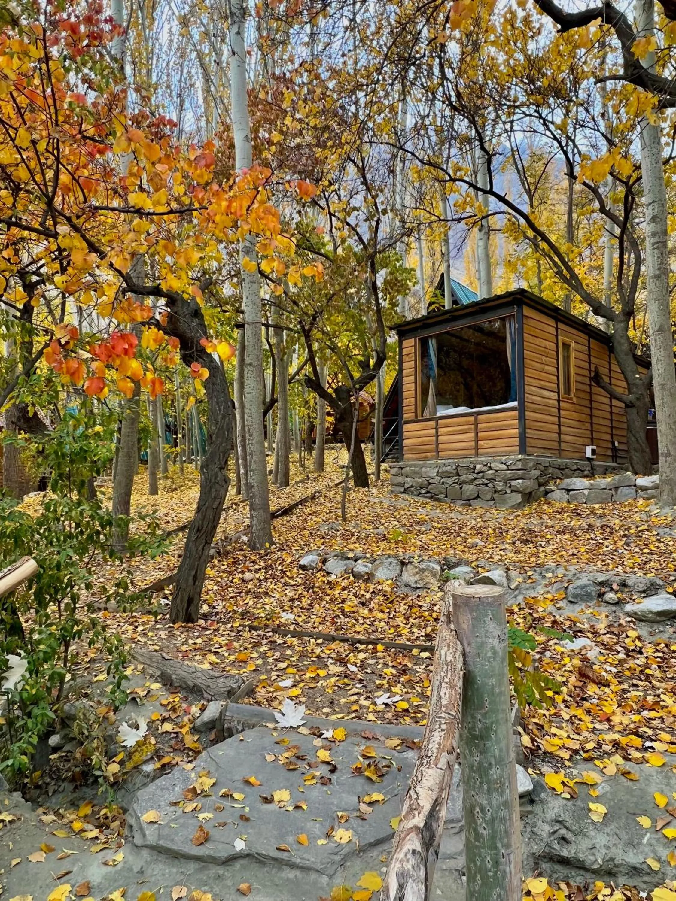 Garden in The 2 Magpies, Hunza