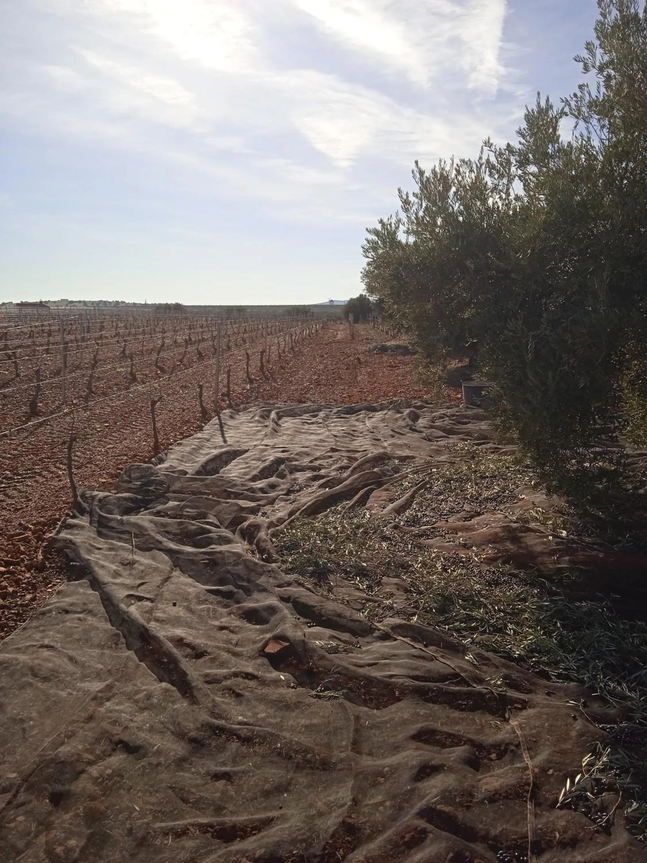 Casa Rural Señorio de Quevedo