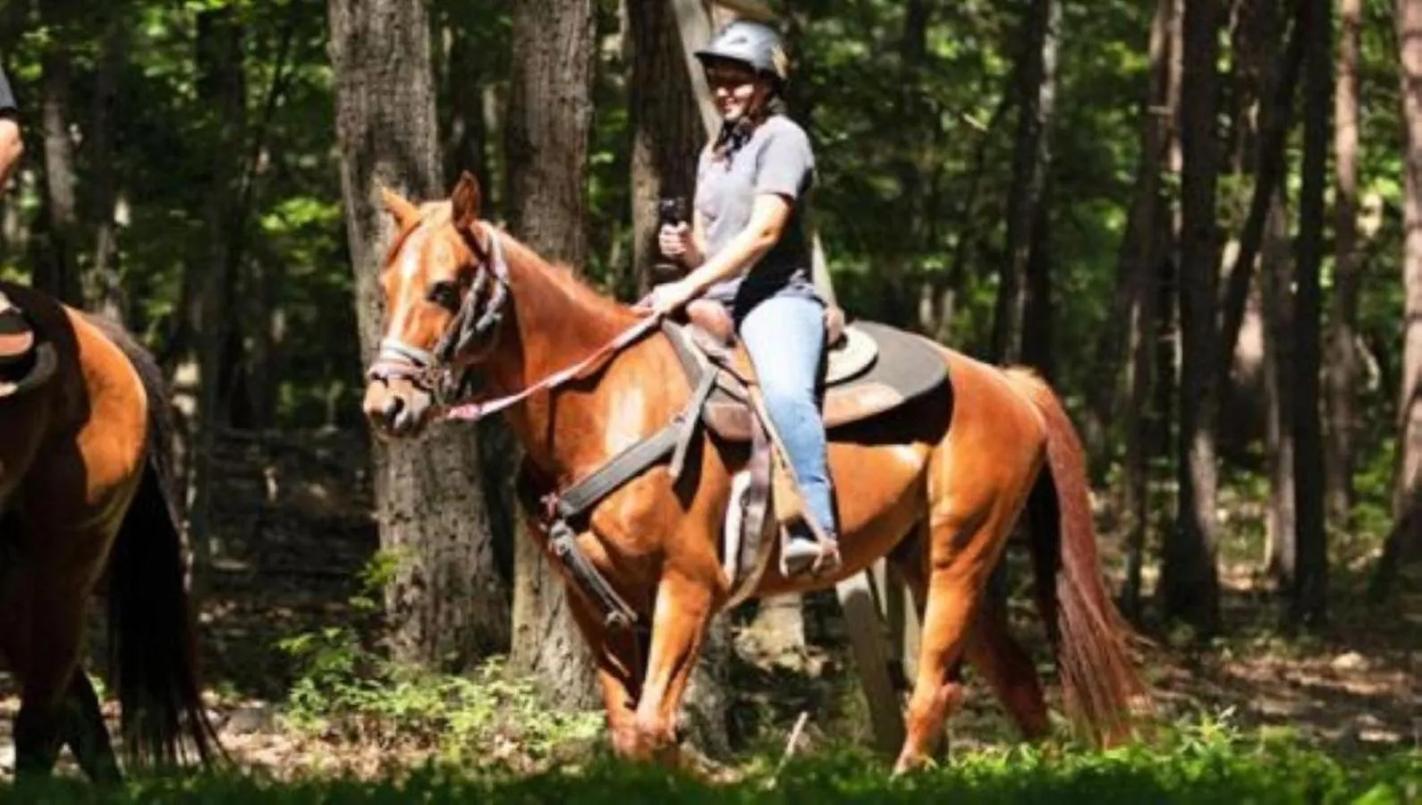 Horse-riding in Massanutten Resort