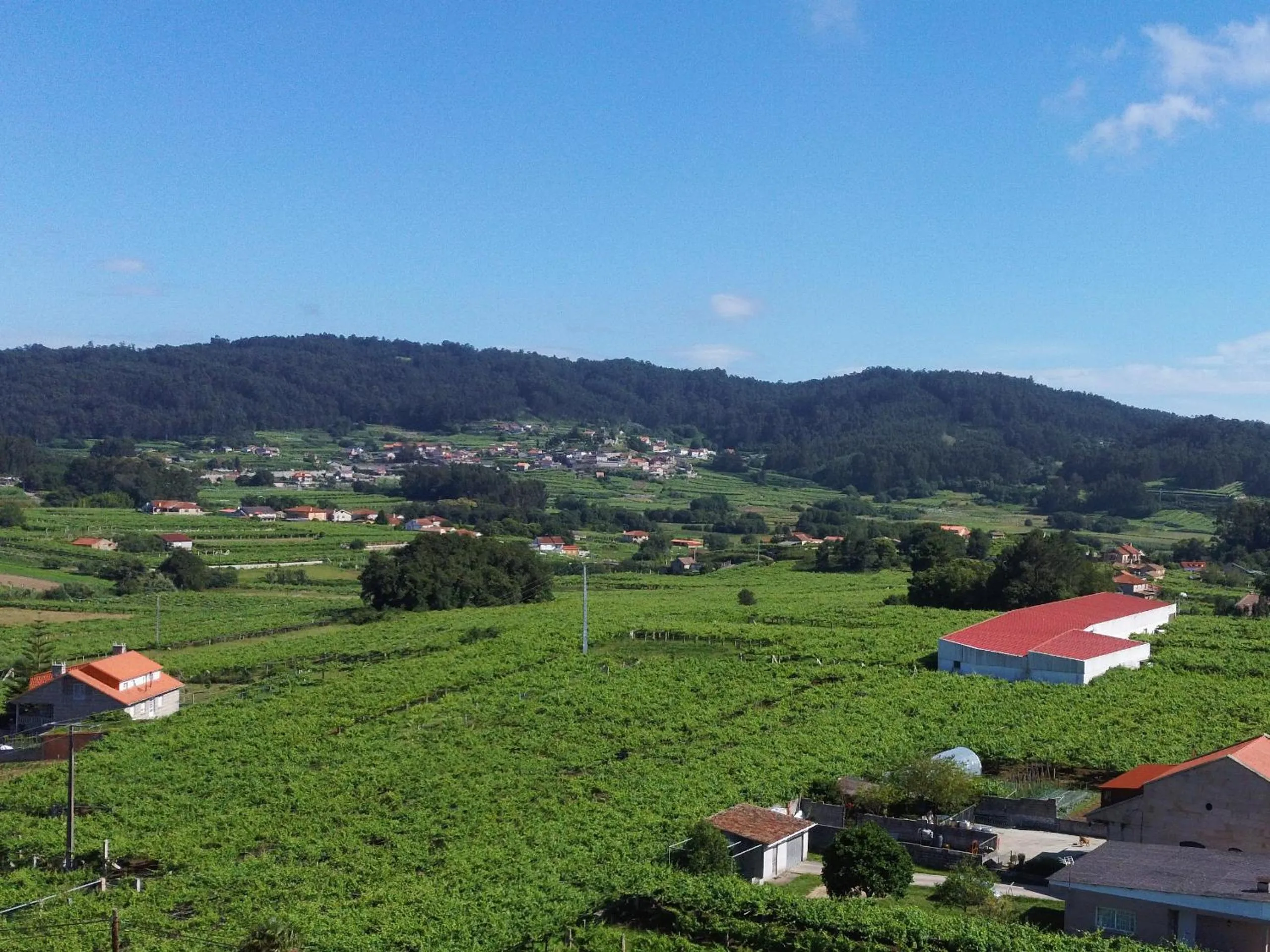 Natural landscape in O Lar de Pereiras