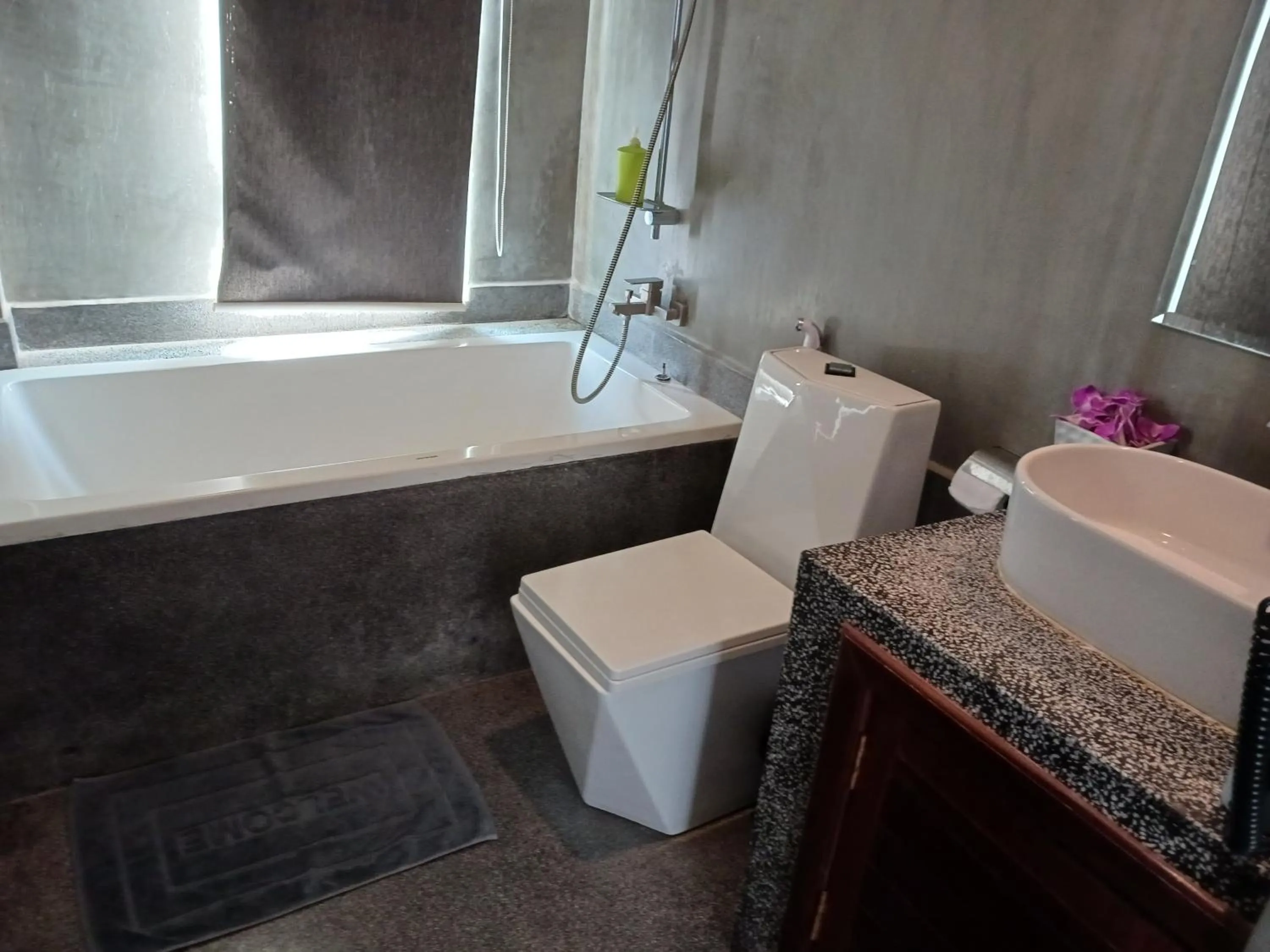 Toilet in Andy's Place