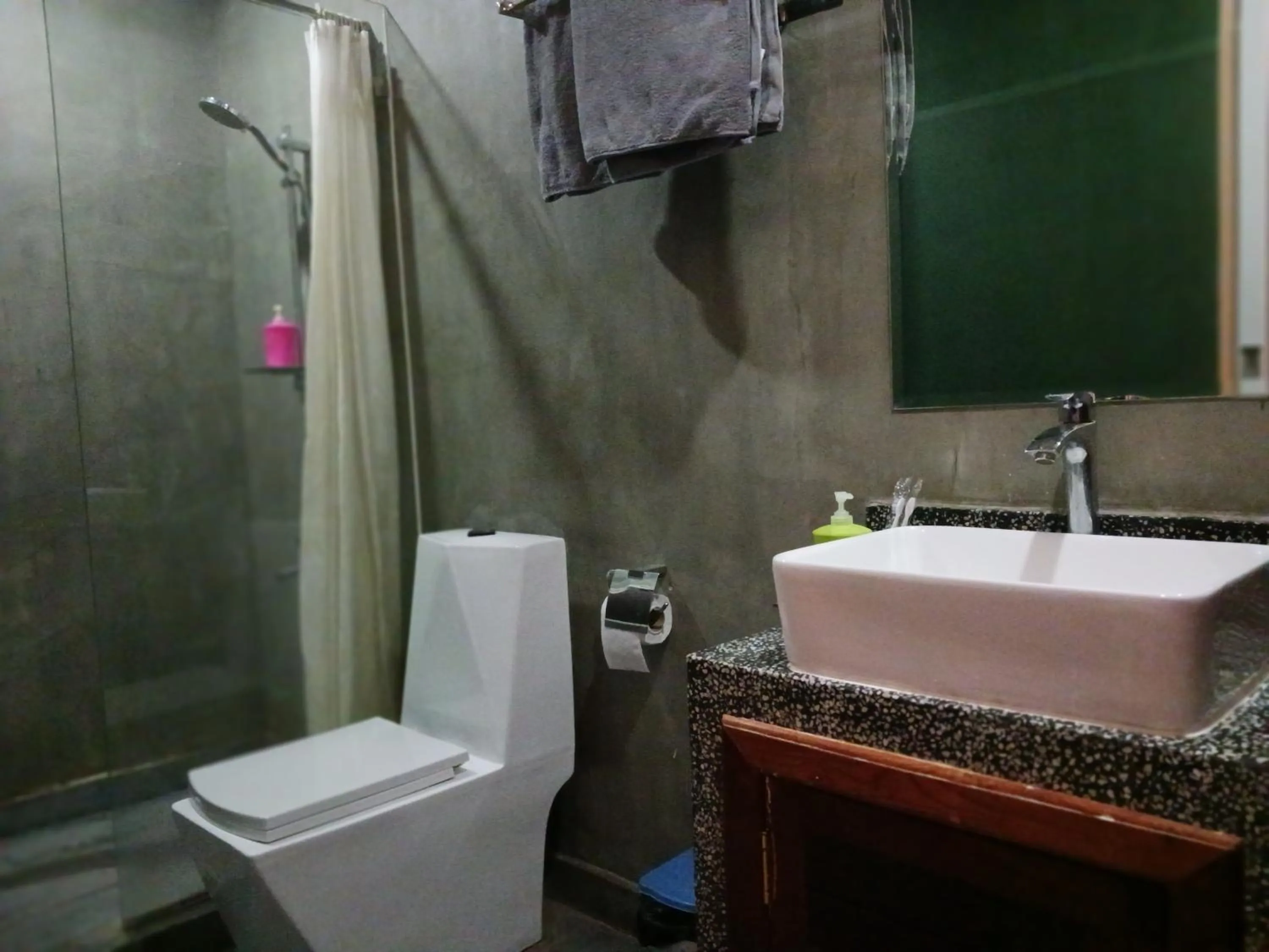 Toilet in Andy's Place