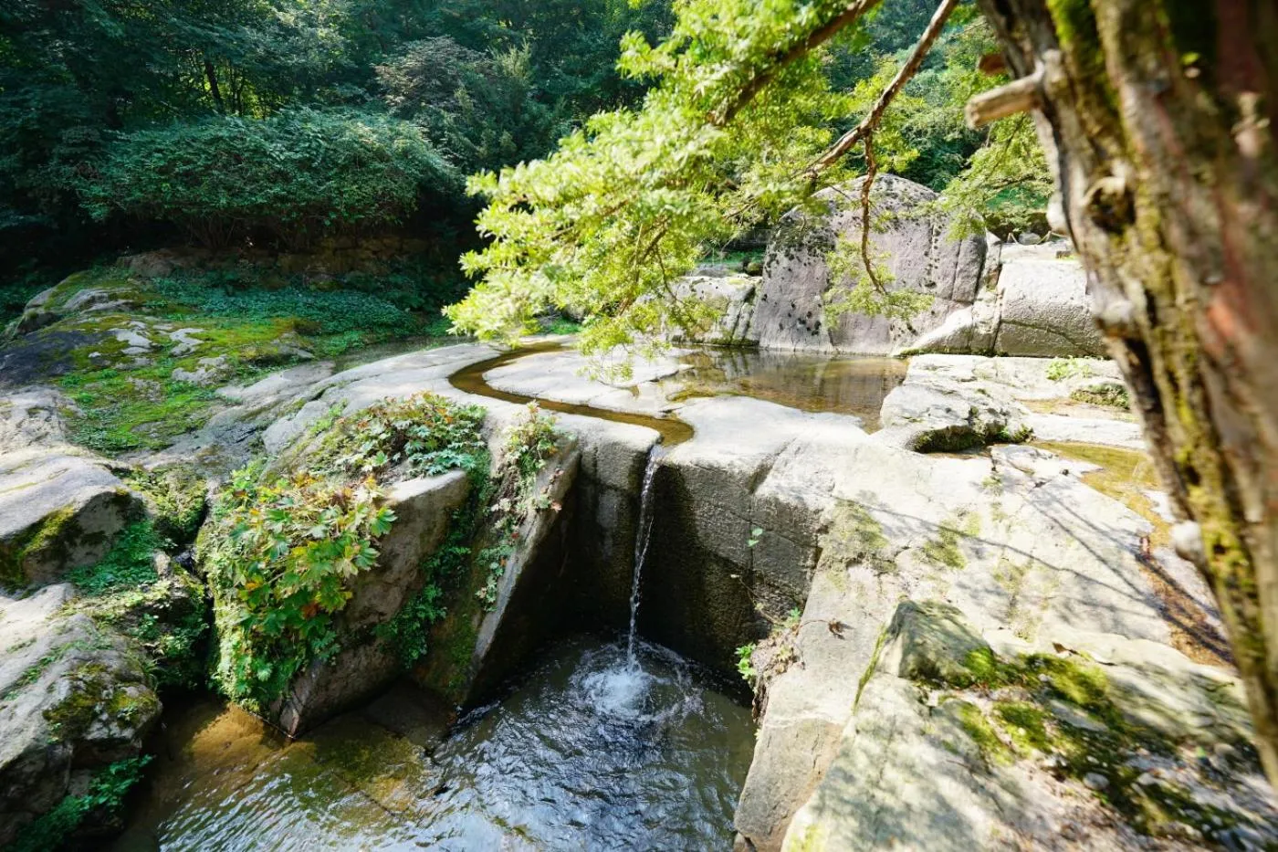 Nearby landmark in Hotel dongyangjang Dongdaemun-Jongno