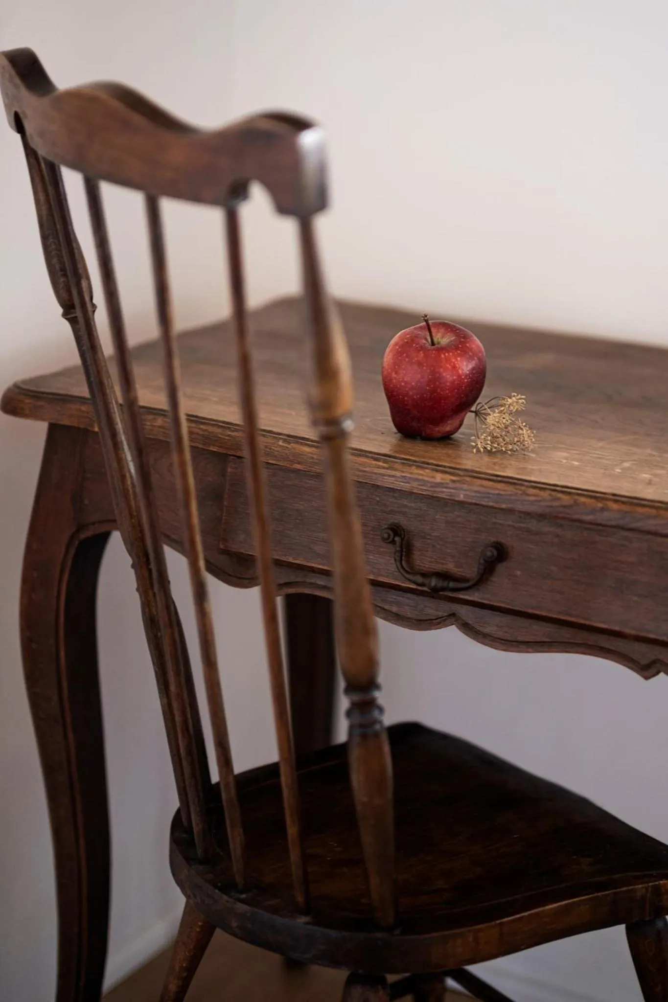 Decorative detail in My GuestHouse