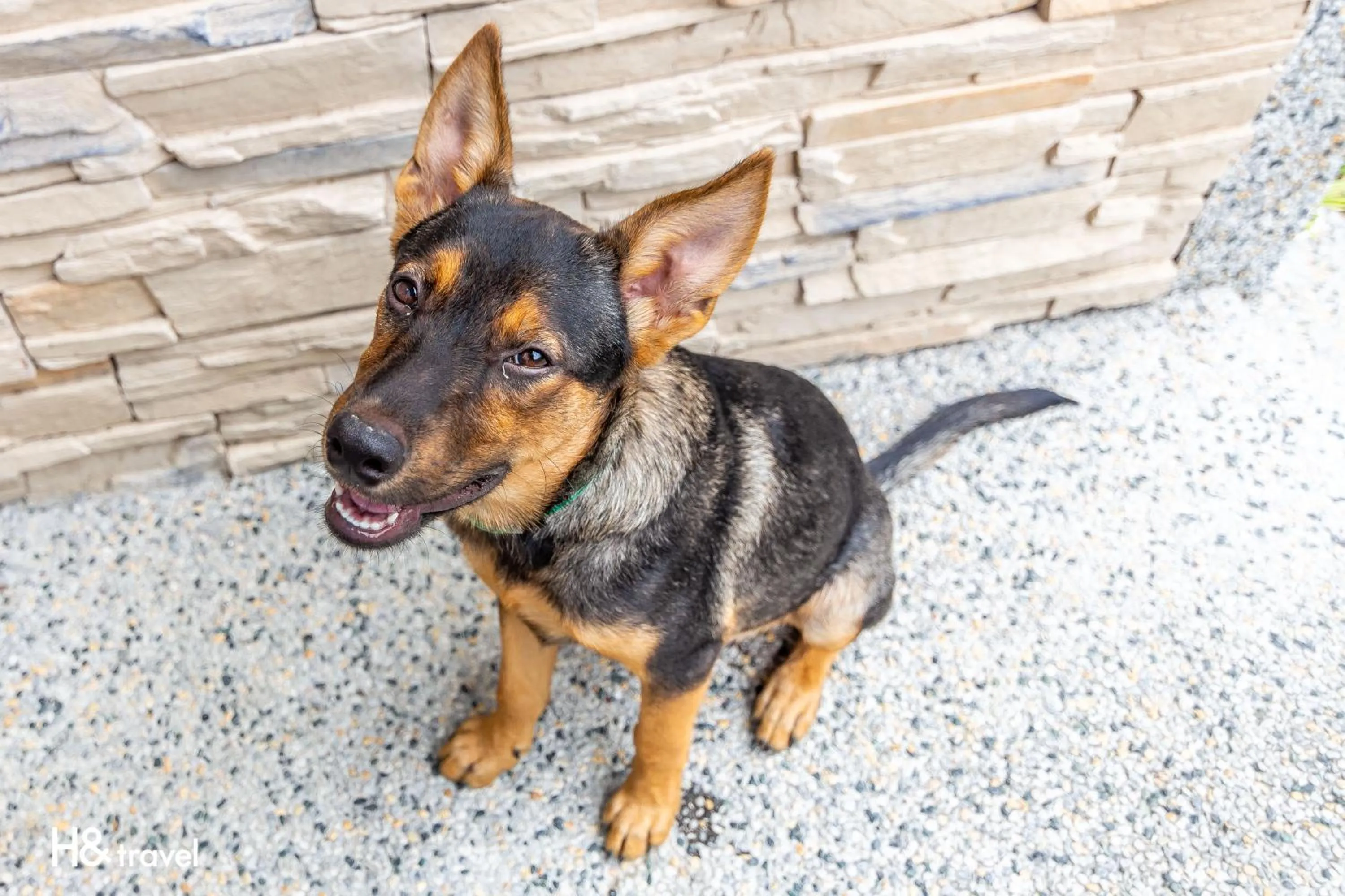 Decorative detail in Qian B&B
