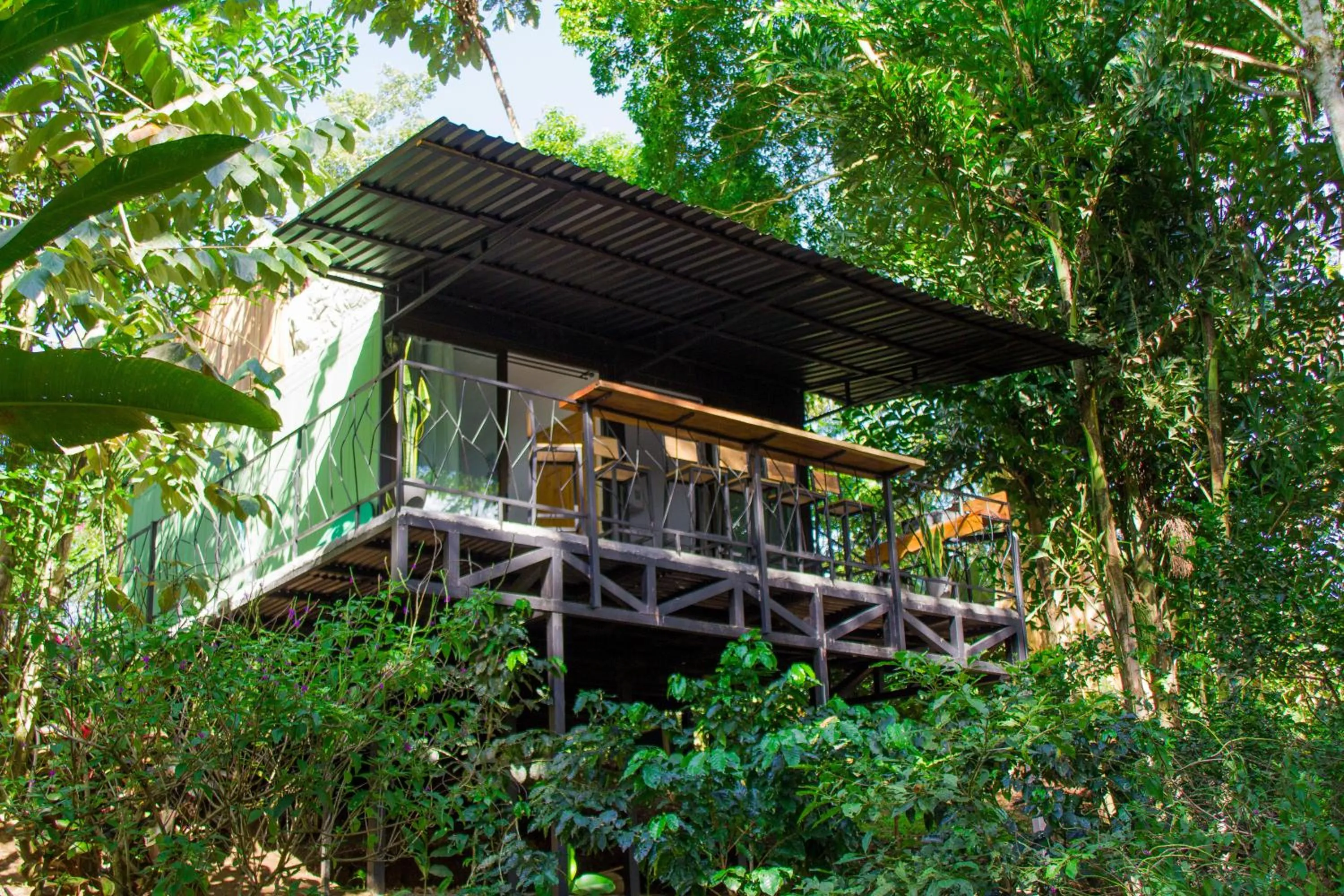 Property building in Eden Organic Farm & Bungalows