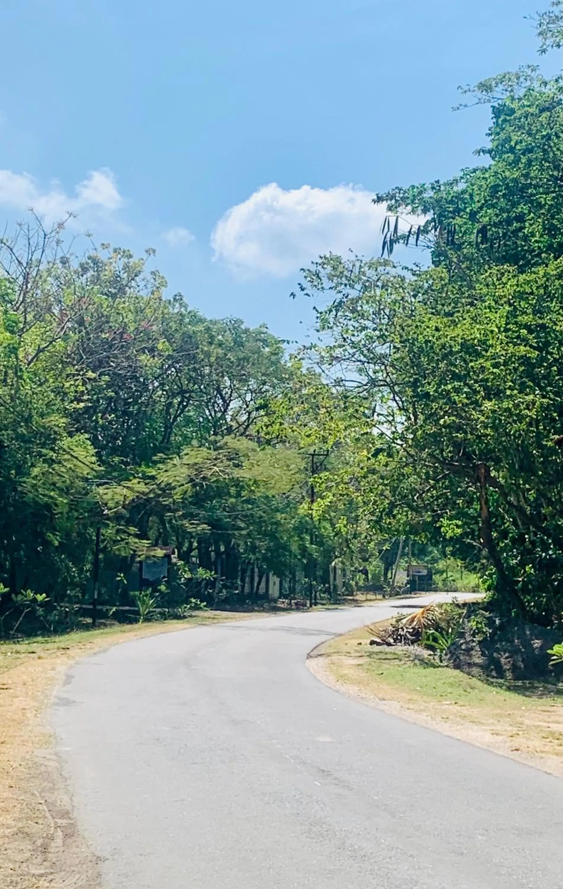 Street view in Balong Balong Surf Bungalows & Restaurant