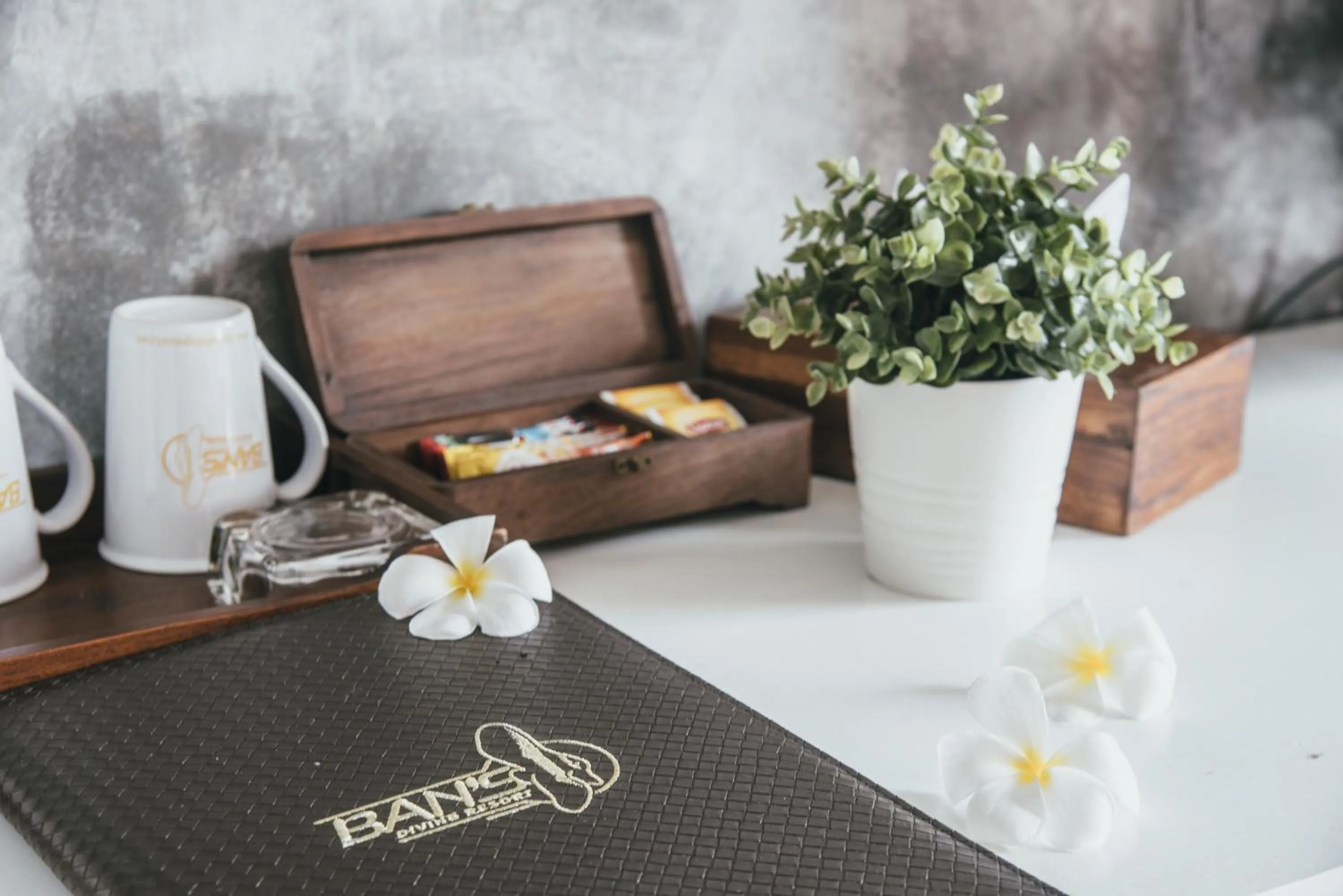 Ban's Avenue Guesthouse