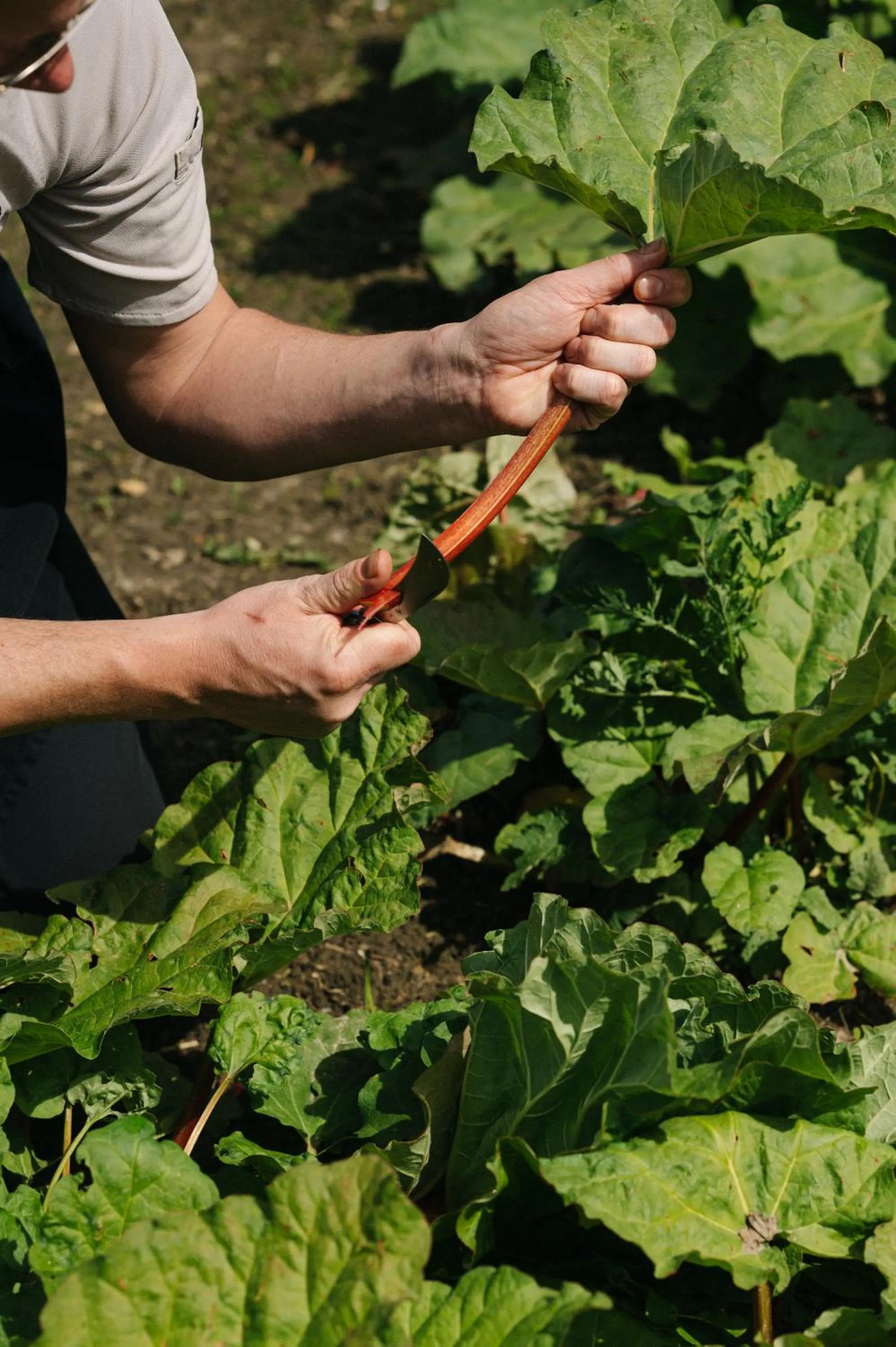 Property building in Château St Gerlach - Oostwegel Collection, member of Relais and Châteaux