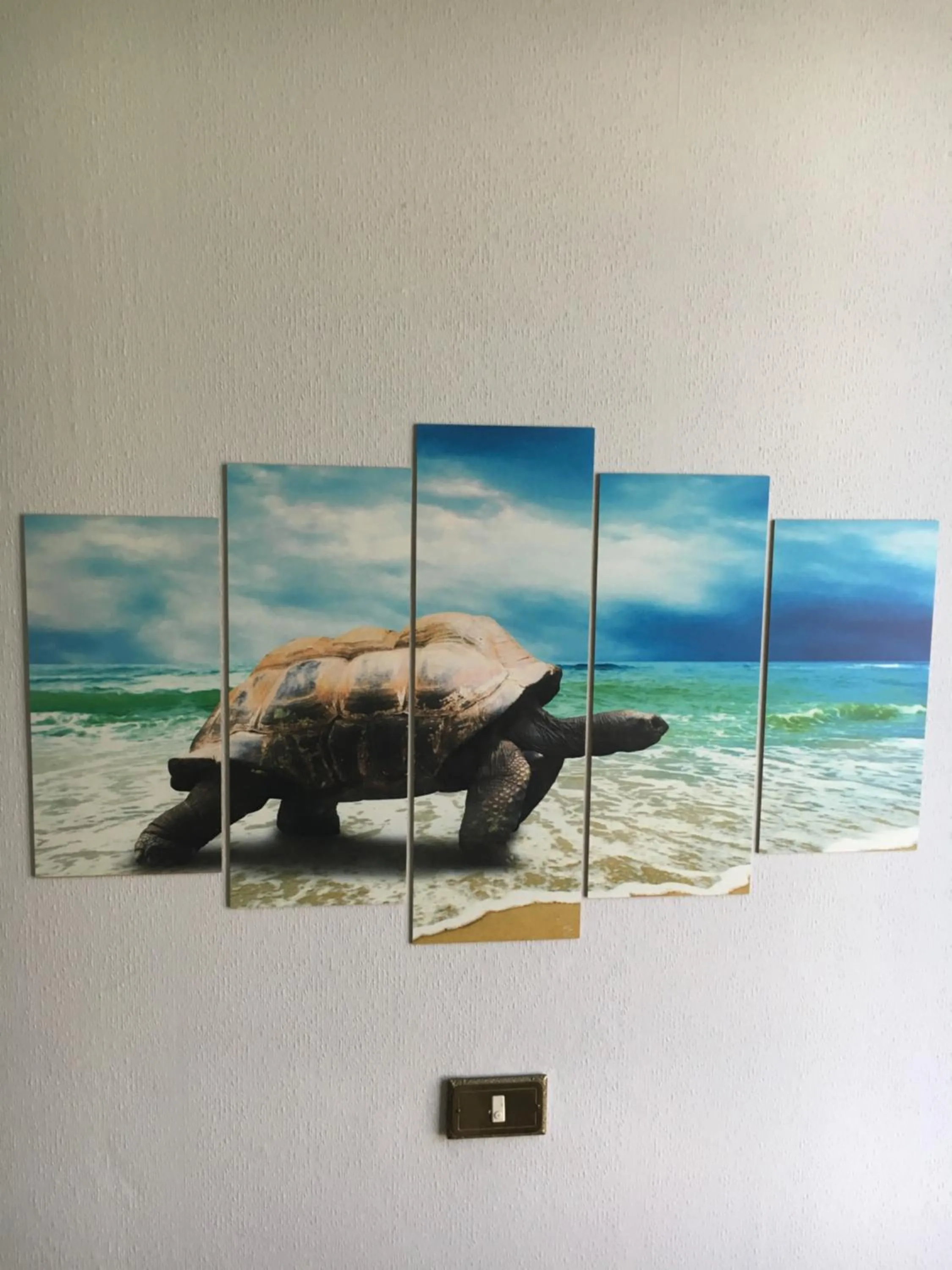 Decorative detail in Hotel Acqua Marina